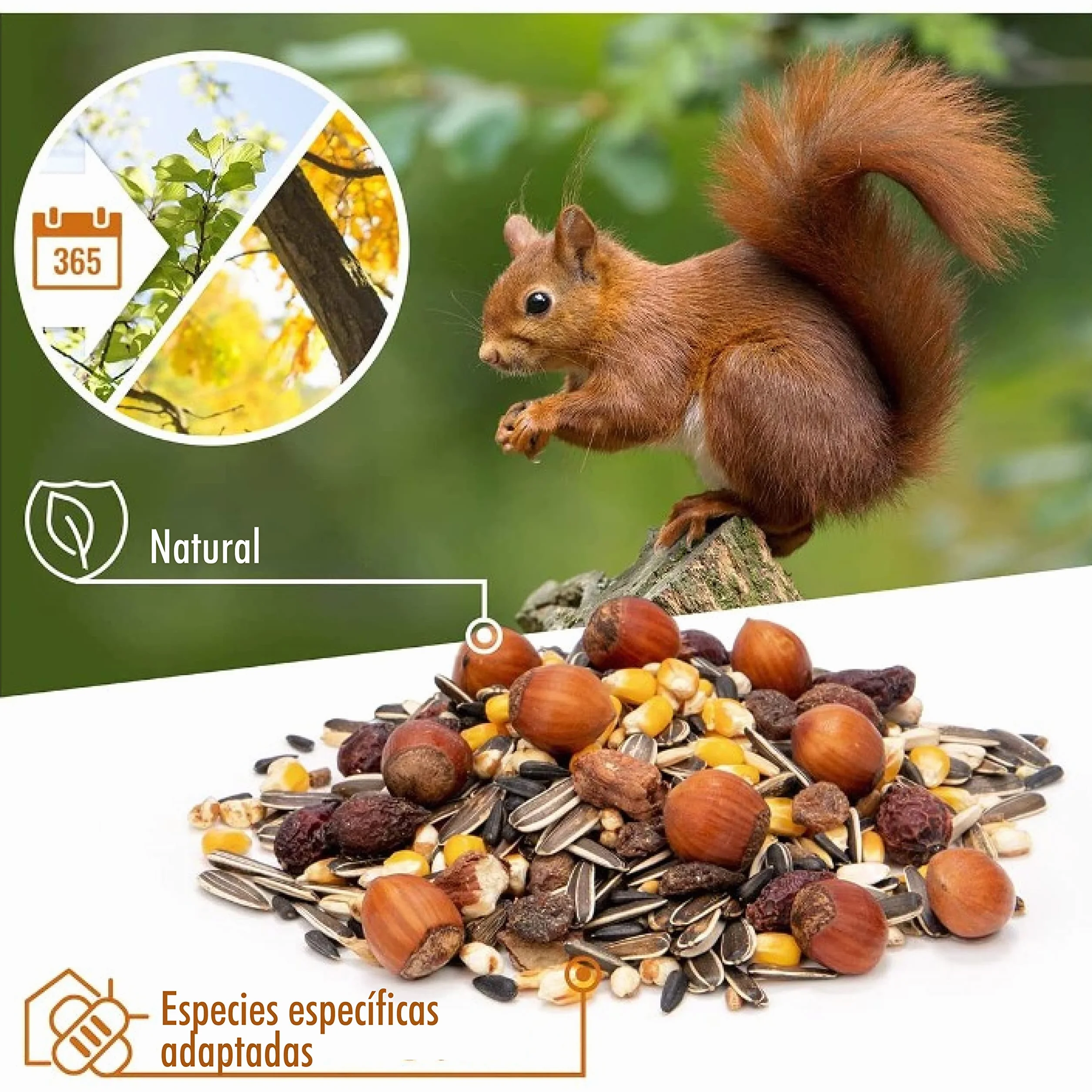 wildtier herz I Alimentación para Ardillas 2kg I Comida de Ardillas para Alimentos - Alimento para Ardilla
