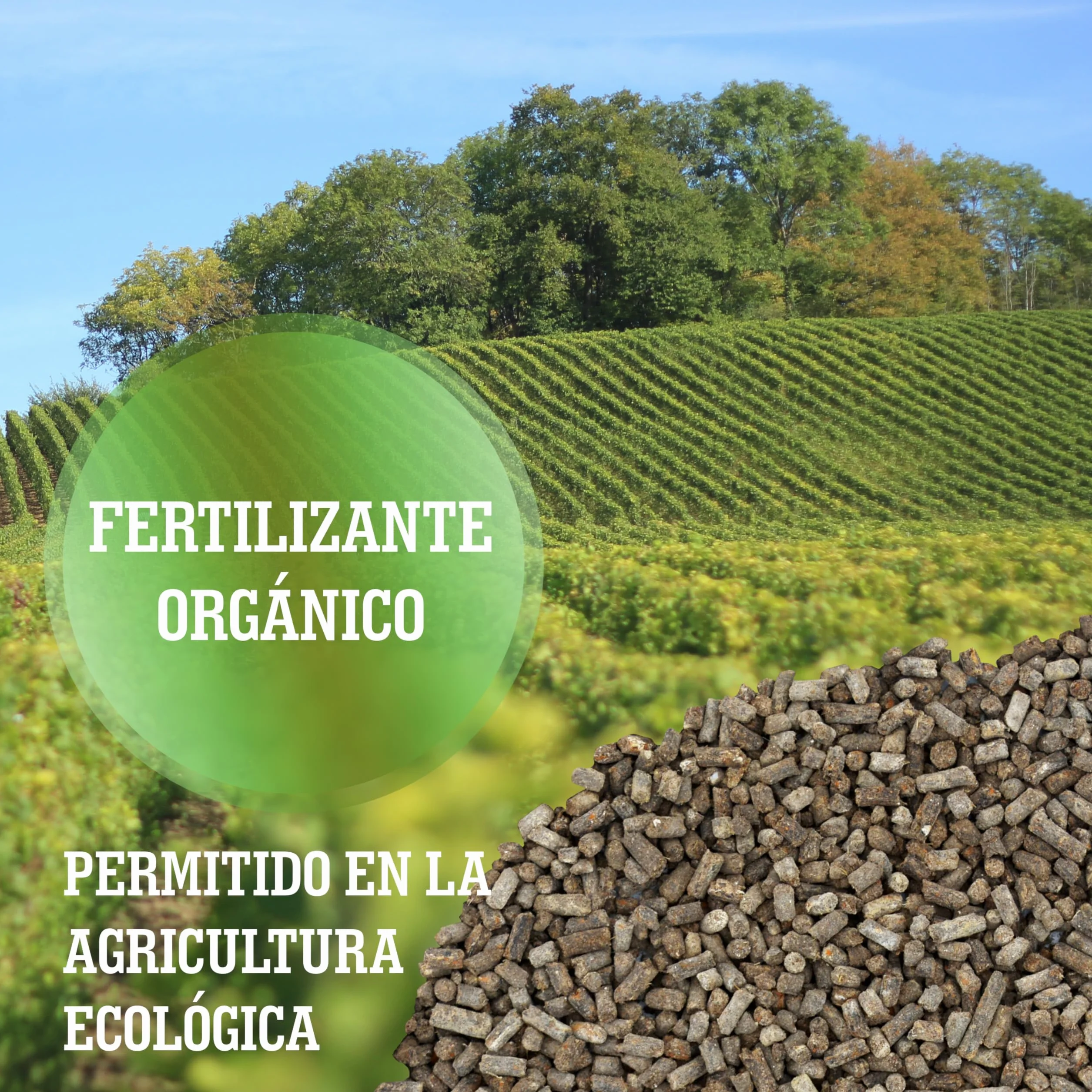 LERAVA® Abono rosales y plantas con flor - 2x800g con tapón dosificador - Crecimiento vigoroso y colores brillantes - fertilizante plantas de exterior o en maceta - abono orgánico 100% Made in Italy