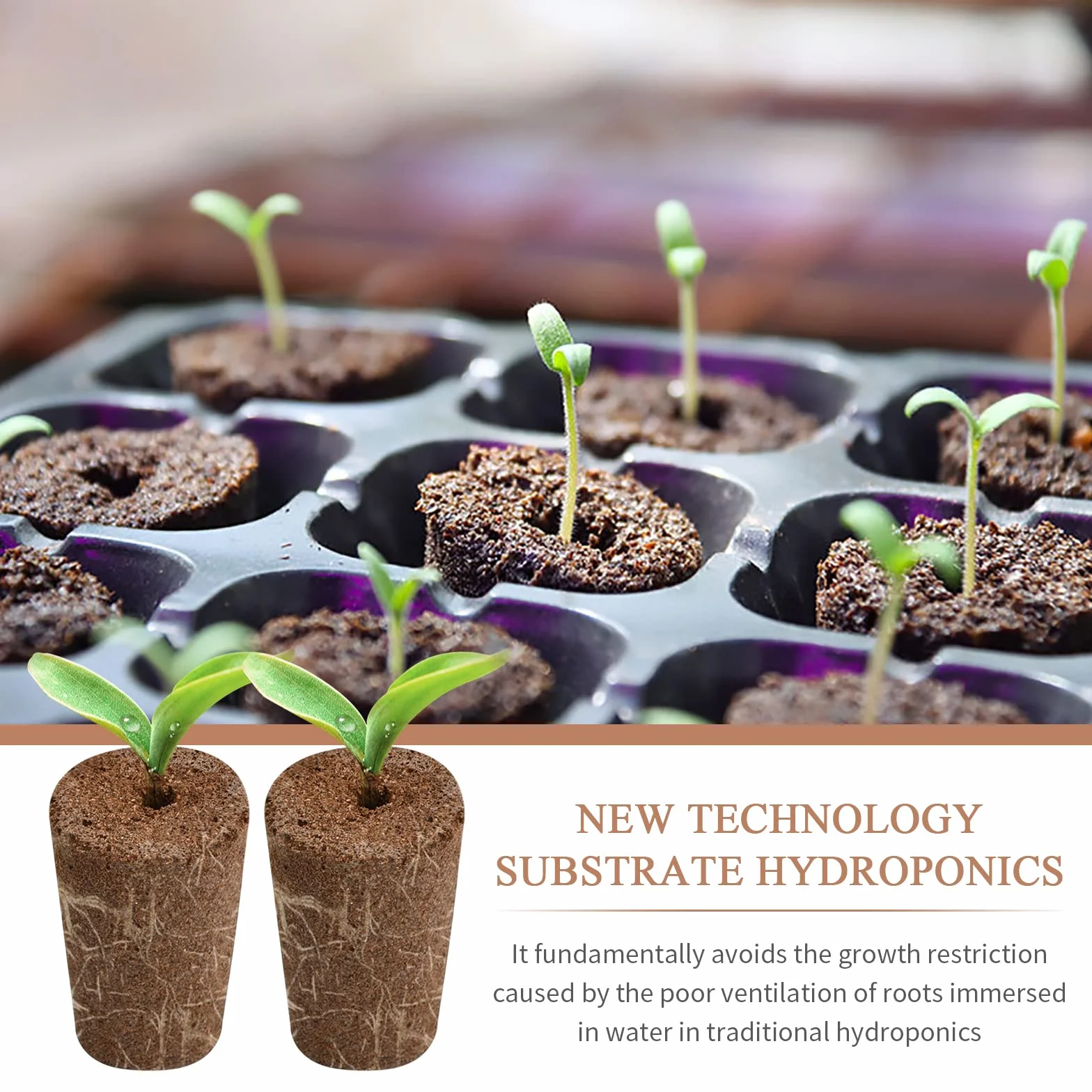 12 Pzs Esponjas para Cultivo Hidropónico Esponjas de Crecimiento Esponjas de Repuesto para Crecimiento de Raíces Tapones de Inicio de Semillas para Sistema de Cultivo Hidropónico Interior Jardín
