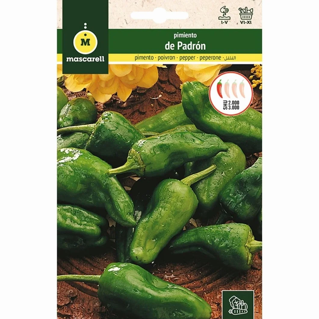 Mascarell Semillas, PIMIENTO, Semillas Huerto, PIMIENTO DE PADRÓN, Crea tu Propio Huerto Urbano y Cultivo en Casa, Plantas Hortícolas, 1 Gramos