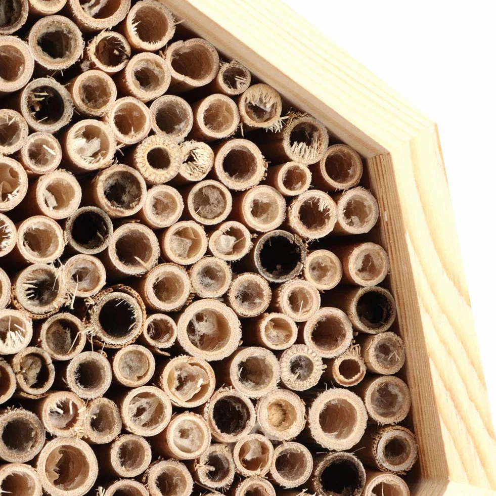 Yctze Bee House, 16 * 16 * 9 Insecto de Madera Bee House Wood Bug Room Hotel Nesting Box para Decoración de Jardín Al Aire Libre