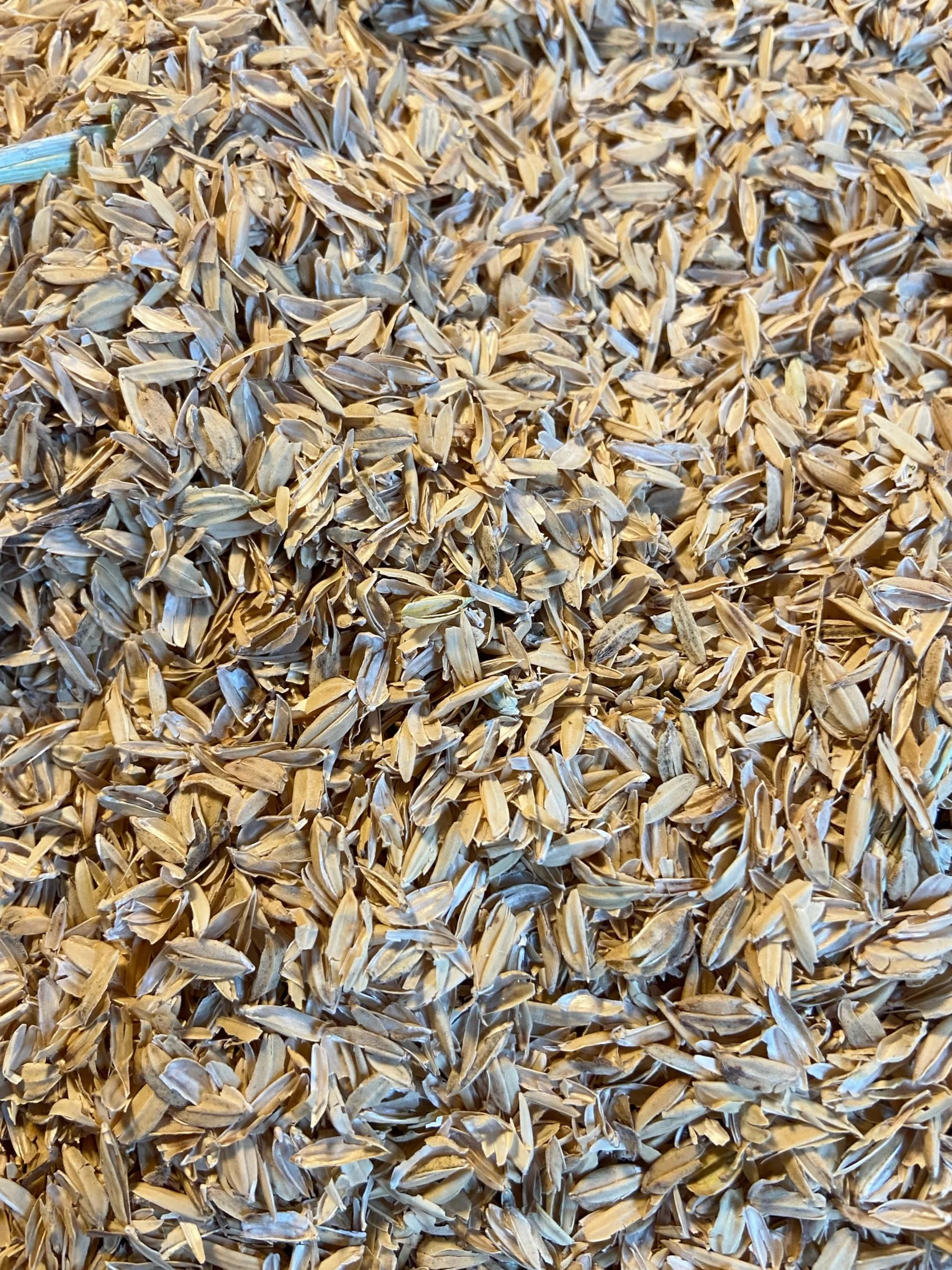 Bio Cascaras de Arroz 3L – Fuente natural de silicio – Mejora estructural del sustrato y enmienda para Living Soil