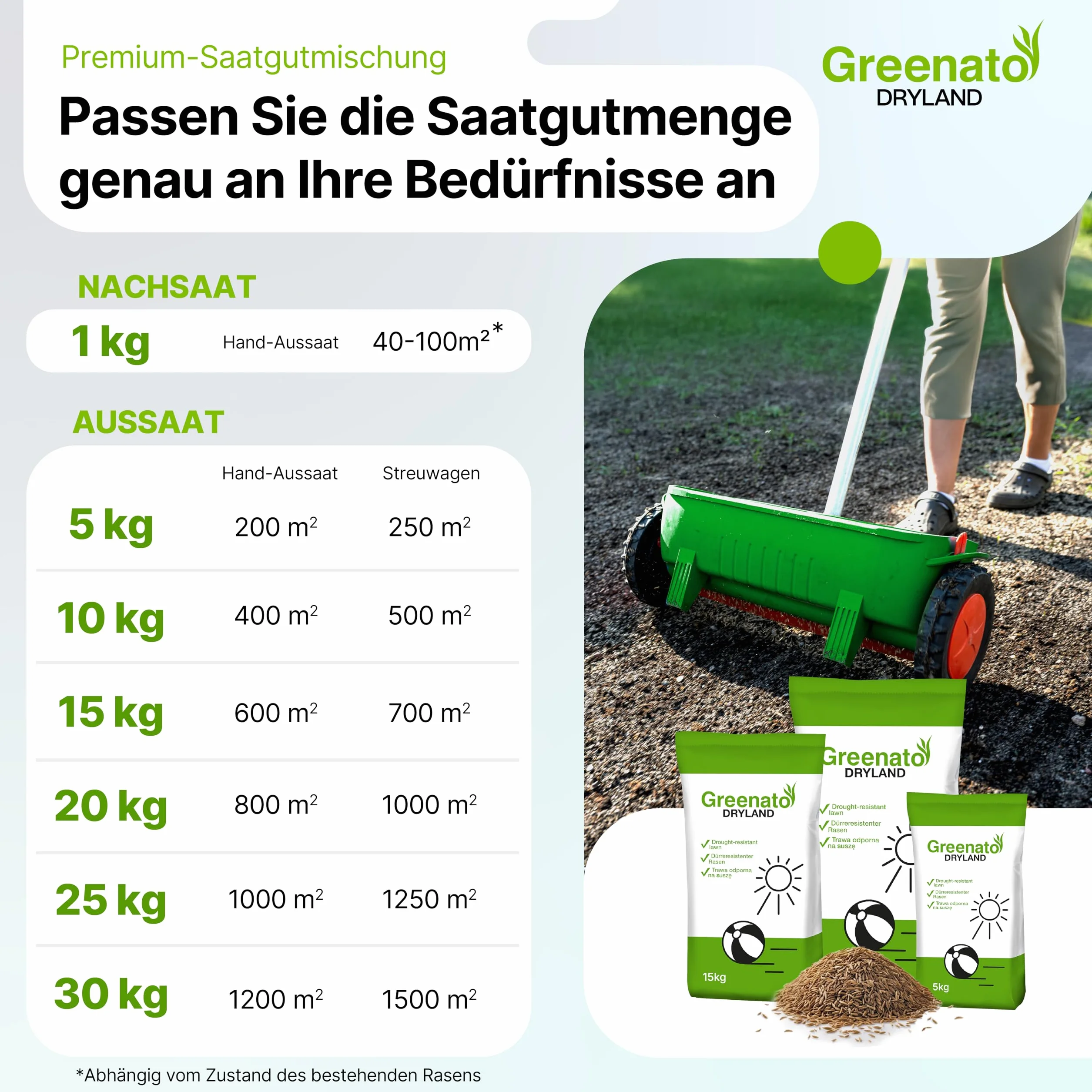 Semillas de Césped Greenato Dryland Resistentes a la Sequía 10kg