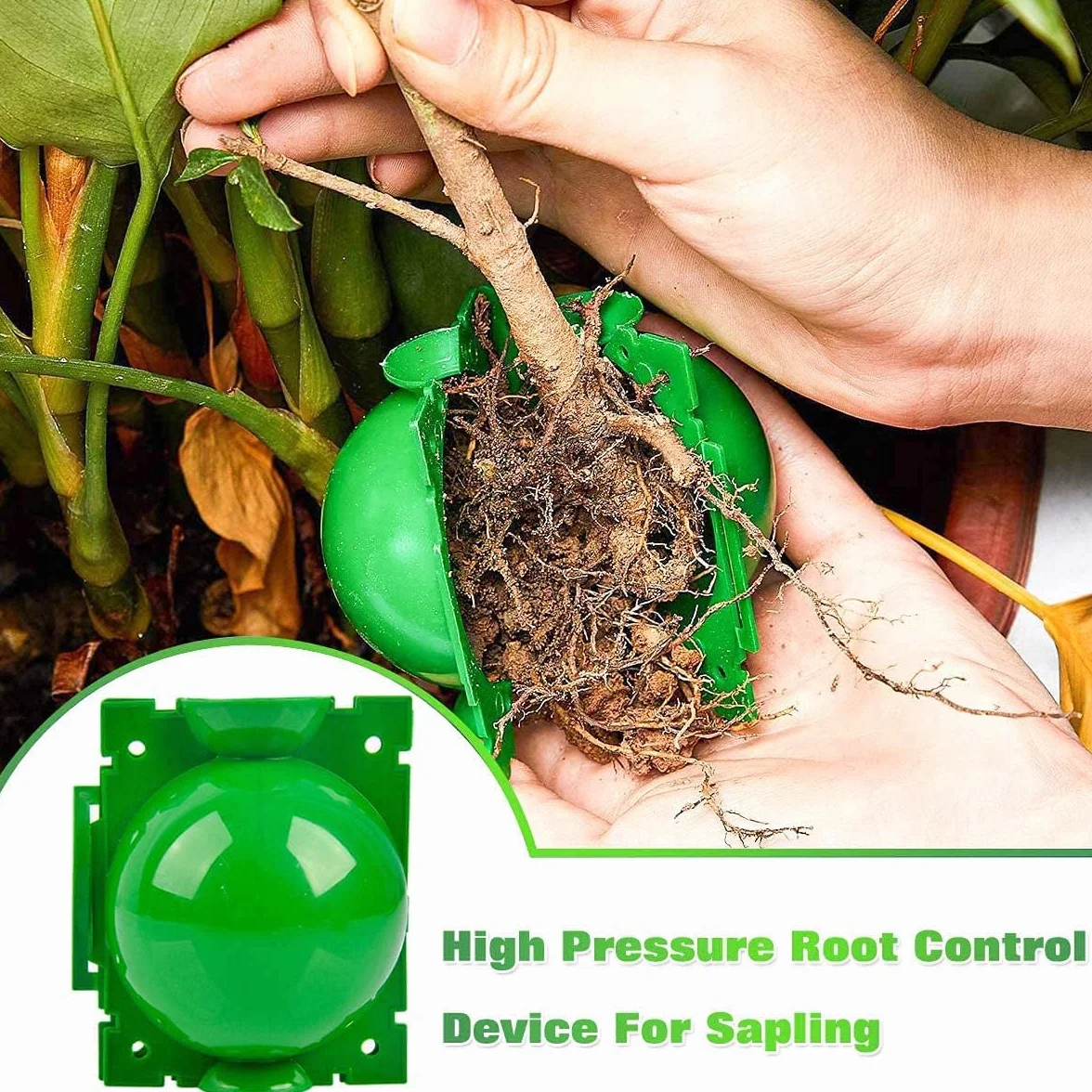 20 Piezas Dispositivos de Enraizamiento de Plantas, Caja de Cultivo de Raíces de Plantas Reutilizables con 20 Bridas de Cable para Injertar y Echar Raíces en Jardines (S+M+L) (Verde)