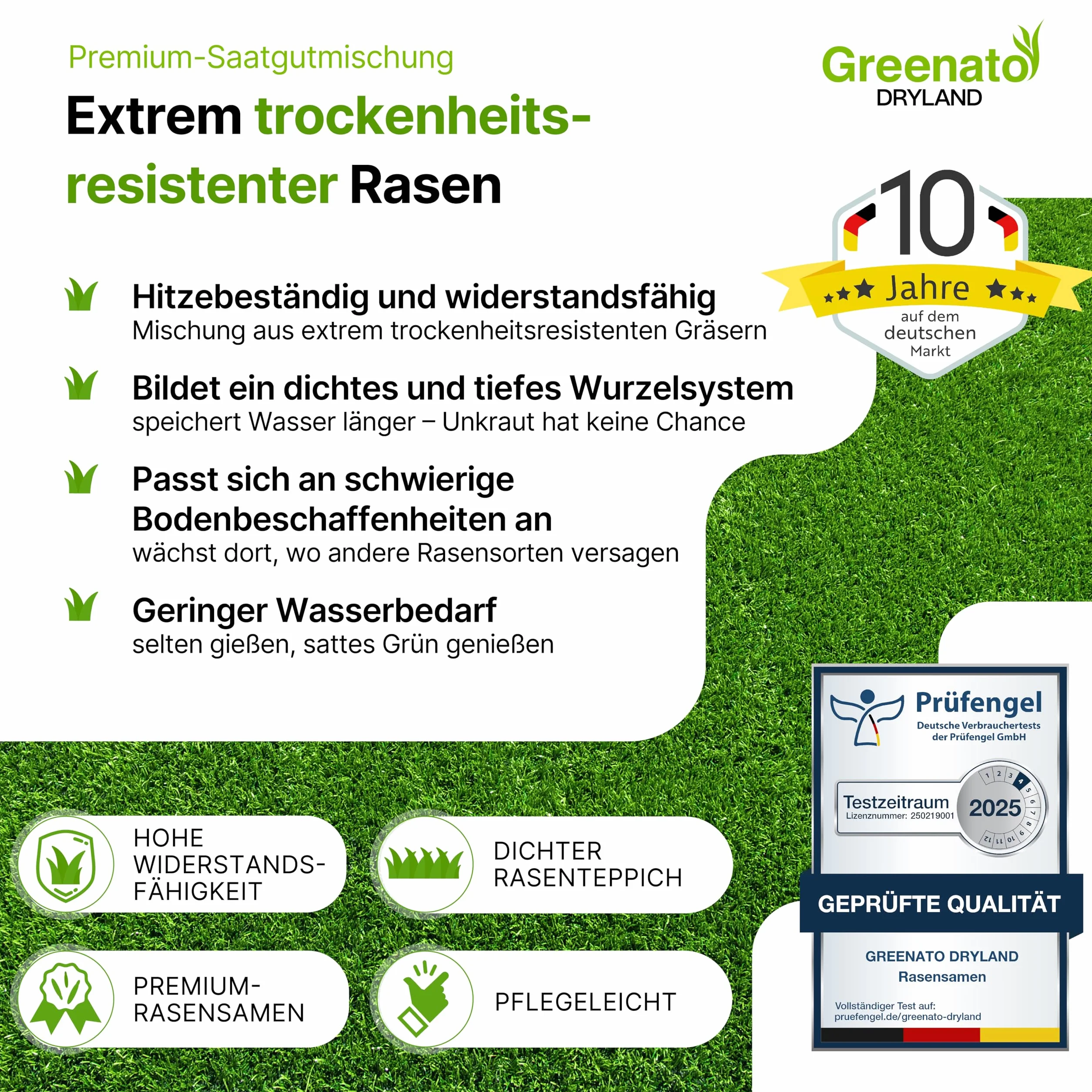 Semillas de Césped Greenato Dryland Resistentes a la Sequía 10kg