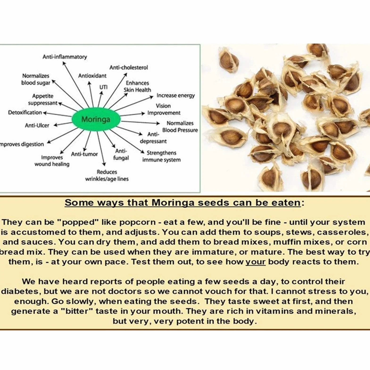 Benoon Semillas De Moringa, 50 Piezas/Bolsa Semillas De Moringa Fragancia Intensa De Moringa Sin OGM Semillas De Moringa De Jardín Saludable Para Jardín Semilla