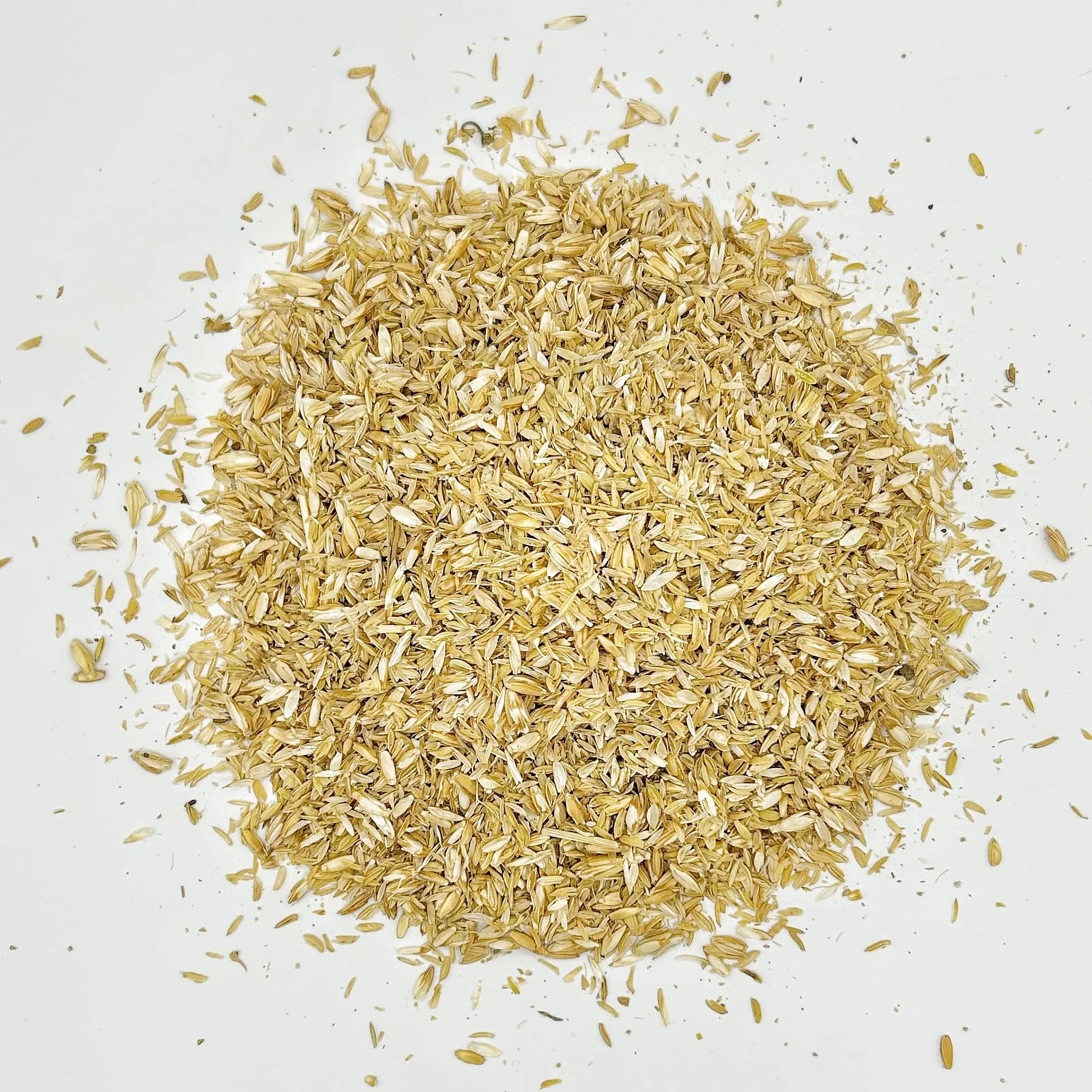 Bio Cascaras de Arroz 3L – Fuente natural de silicio – Mejora estructural del sustrato y enmienda para Living Soil