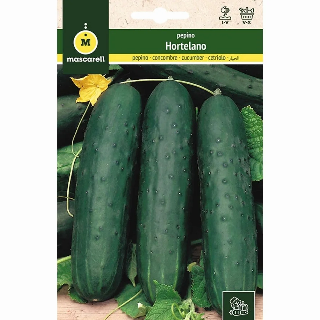 Mascarell Semillas, PEPINO, Semillas Huerto, PEPINO HORTELANO, Crea tu Propio Huerto Urbano y Cultivo en Casa, Plantas Hortícolas, 5 Gramos