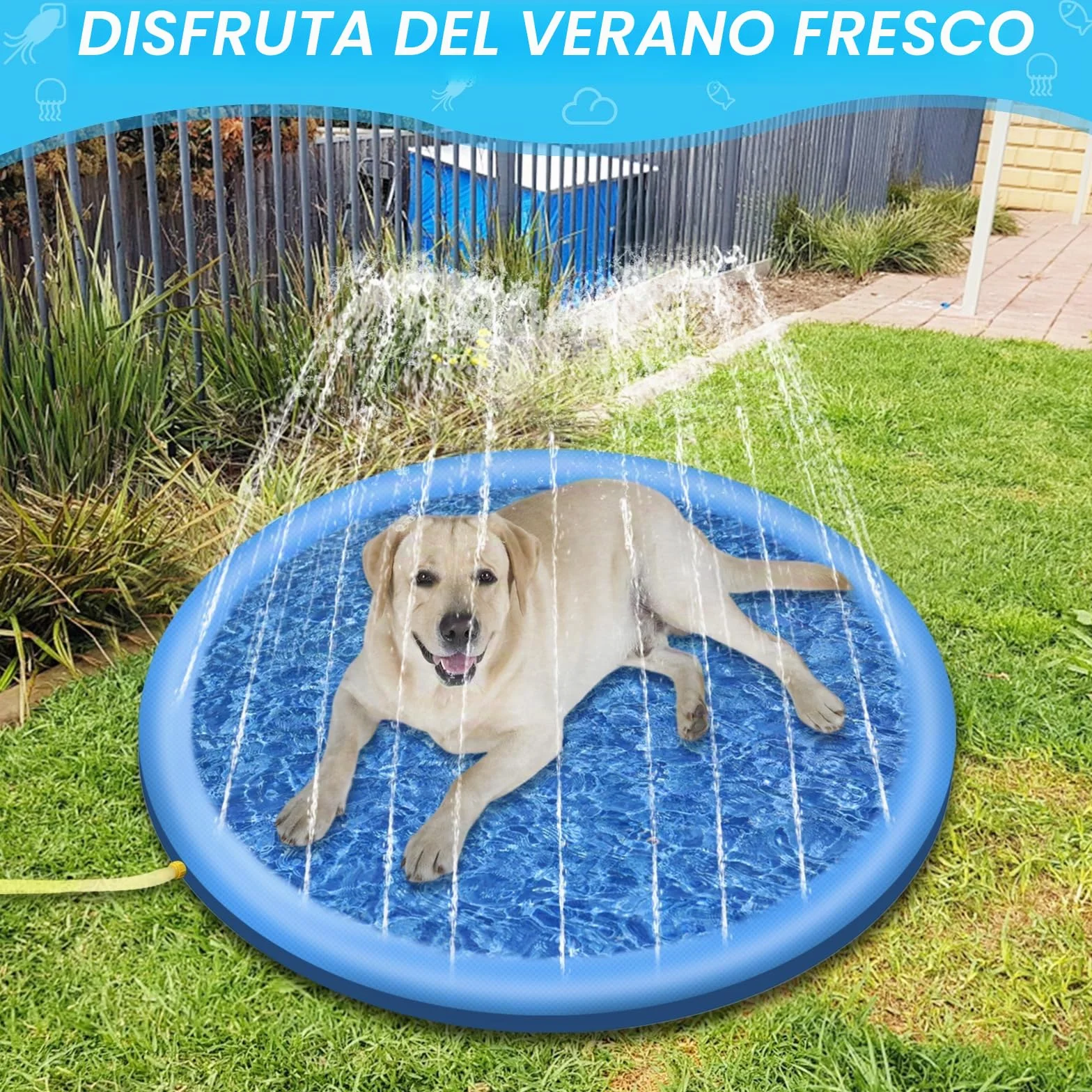 Jsdoin - Piscina inflable para perros (100 cm, plegable, gruesa), alfombra de juego para verano, jardín, playa, patio trasero, color azul