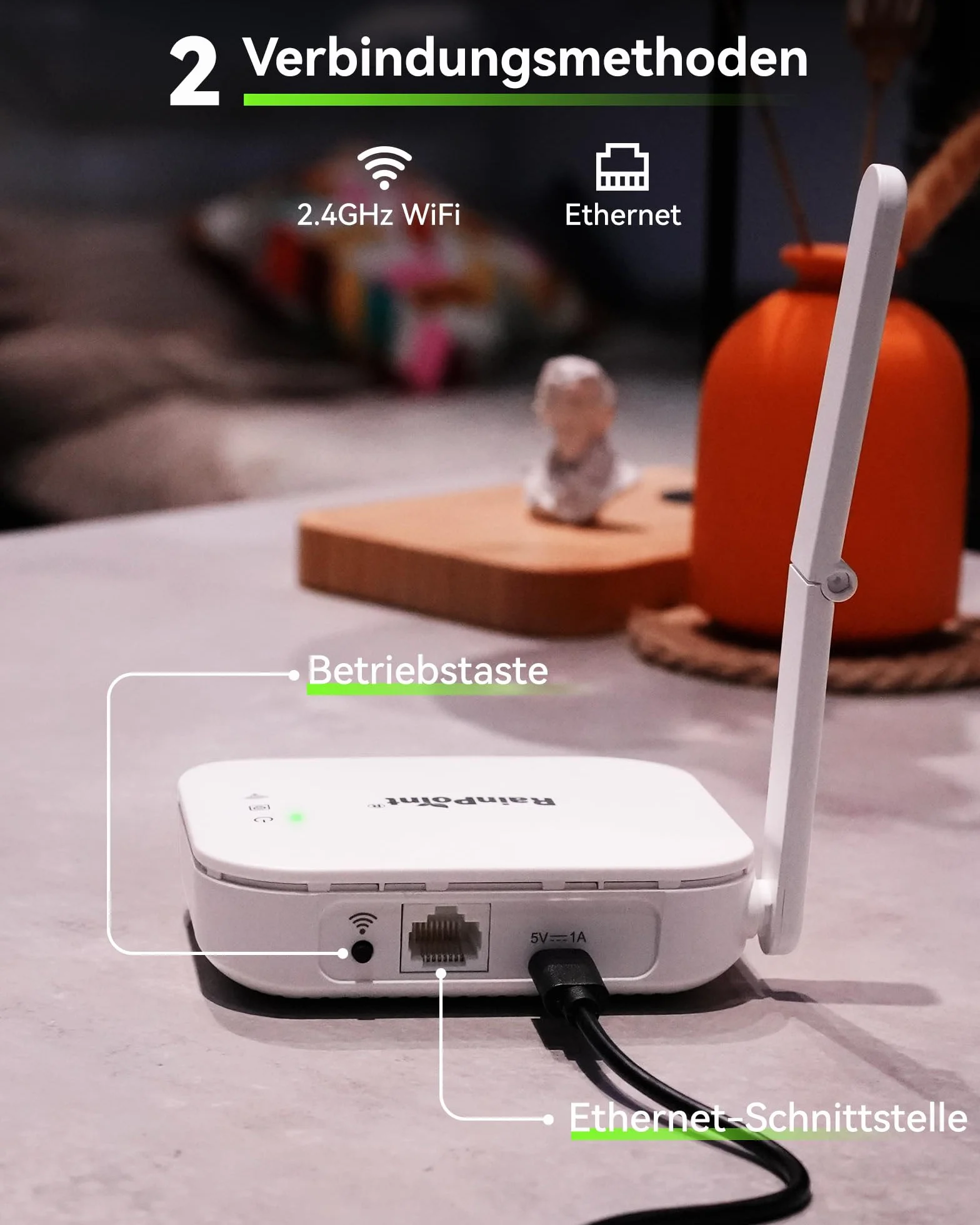 RAINPOINT Programador Riego WiFi 2 Salidas, Puerta Enlace Ethernet y Entrada de Latón, Riego Automatico para Jardín Via App/Voz Control, Riego Basado Clima, Retraso por Lluvia/Manual, 2x6 Horarios