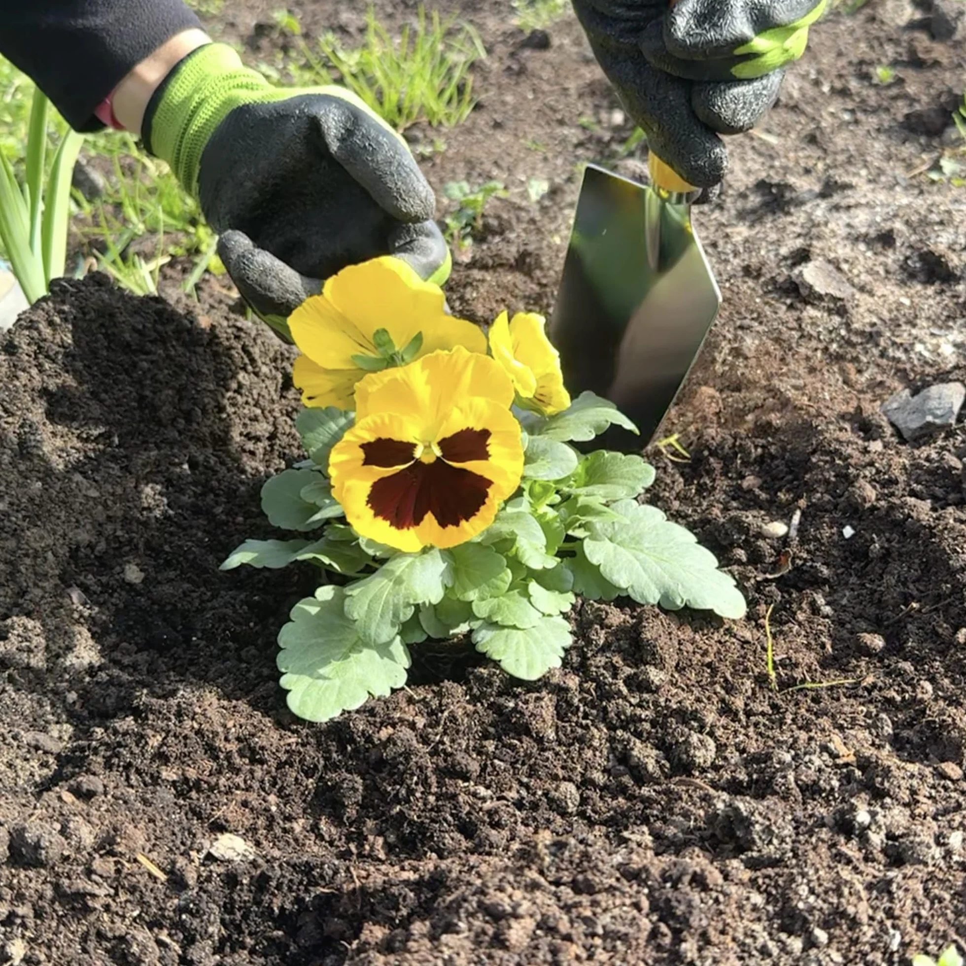 BIKAIN - Herramientas de Jardinería - Taburete Plegable + Bolsa + Herramientas - Kit de Jardinería - Bolsa de Almacemiento con Cremallera - Incluye 5 Herramientas con Mango de Madera