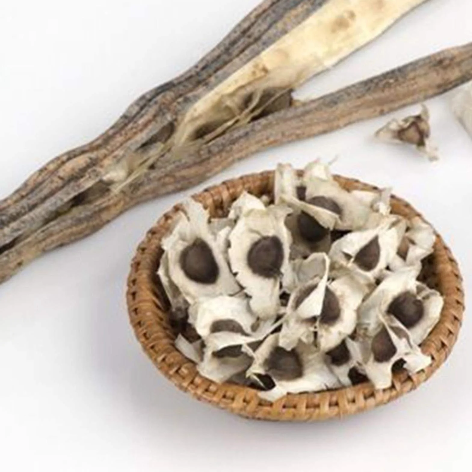 Benoon Semillas De Moringa, 50 Piezas/Bolsa Semillas De Moringa Fragancia Intensa De Moringa Sin OGM Semillas De Moringa De Jardín Saludable Para Jardín Semilla