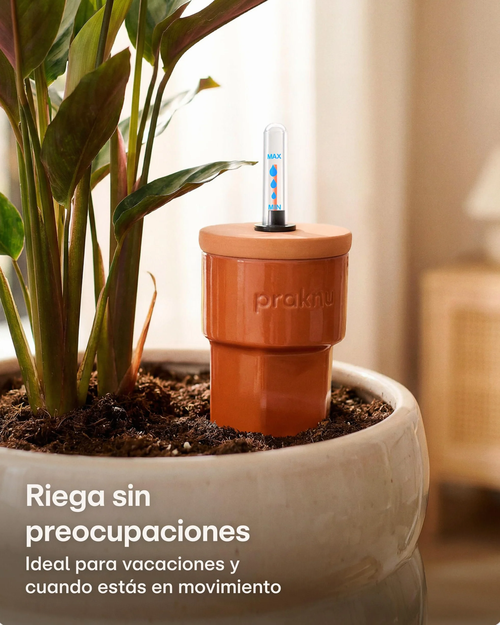 Praknu 3 x Conos de Riego de Terracota con Tapa e Indicador de Nivel de Agua – Hasta 10 Días de Riego Automático – Fácil Limpieza – Dispensador de Agua para Vacaciones