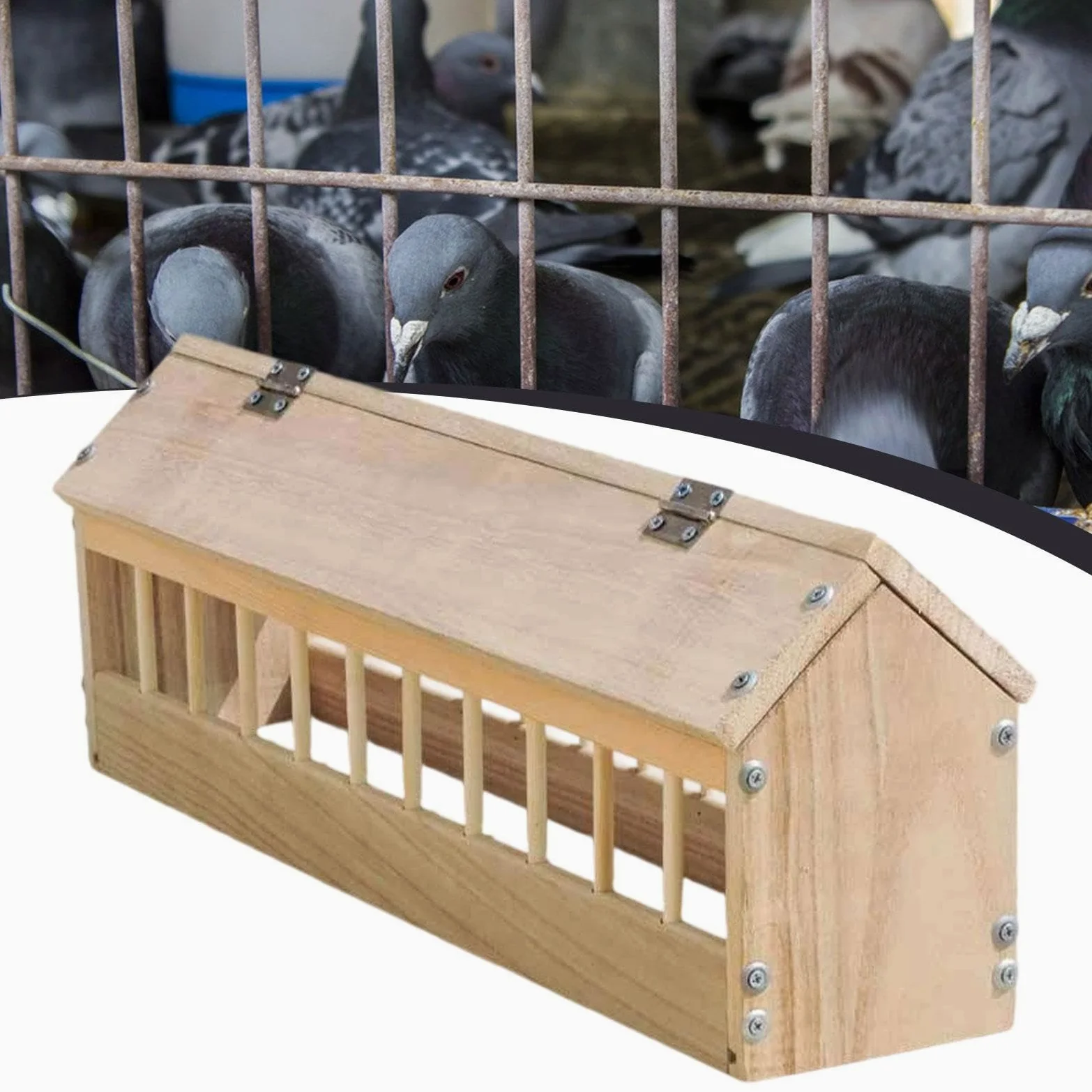 Colcolo Comedero de Madera para Palomas, contenedor dispensador de Comida para Aves, comedero para Palomas, codornices y Granjas, 60cm