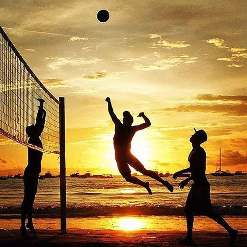 Red de Voleibol de Playa 9,5m x 1m - Vóle de Deporte al Aire Libre