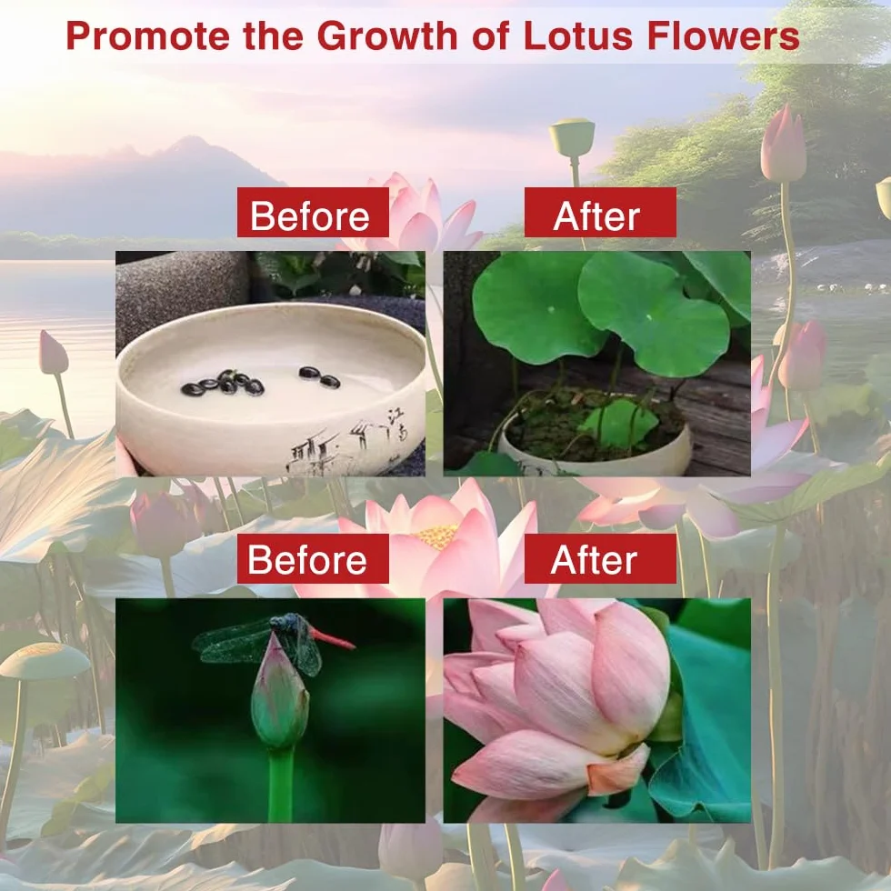 Fertilizante para Plantas Acuáticas,Fertilizante Para Estanques, Fertilizante Para Plantas,Alimento Para Plantas Acuáticas, Suplemento de Crecimiento de Acción Rápida para Plantas de Loto