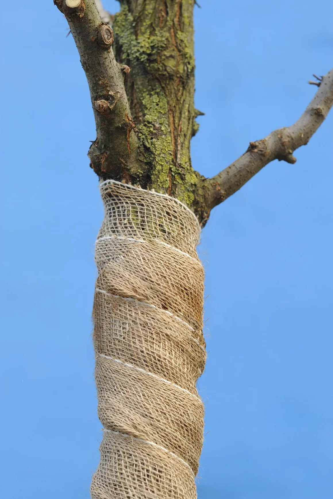 La Cordeline - Cinta de arpillera natural, 20 cm, rollo de 18 metros, para manualidades, decoración, jardinería