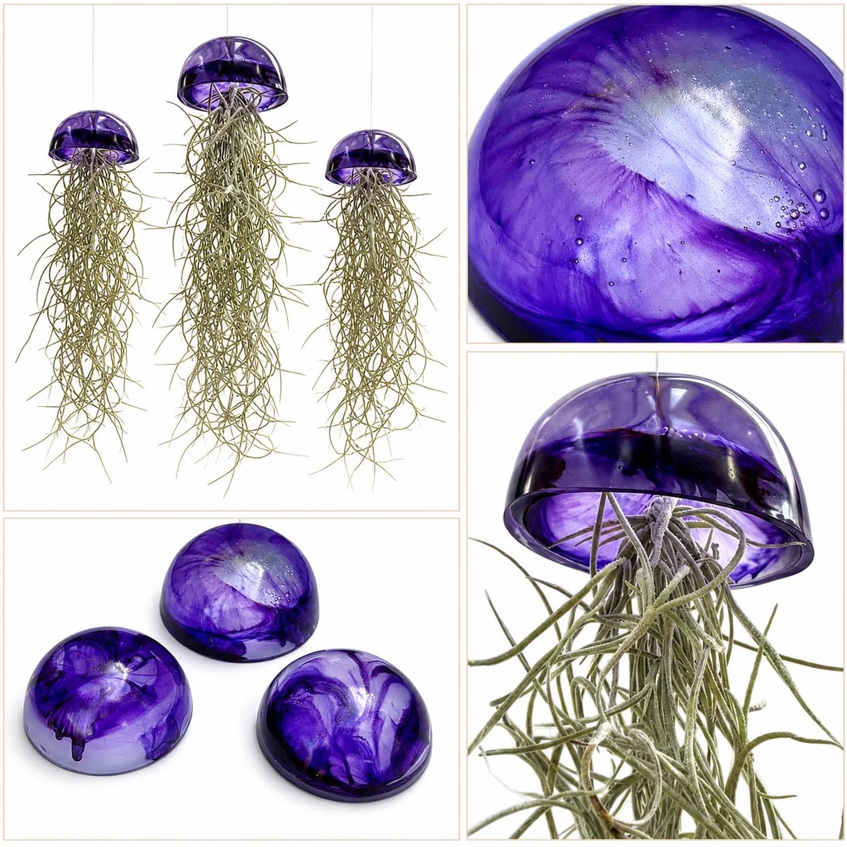 Juego de tres plantas de aire de medusas de cristal púrpura epoxi tillandsia plantas aéreas.