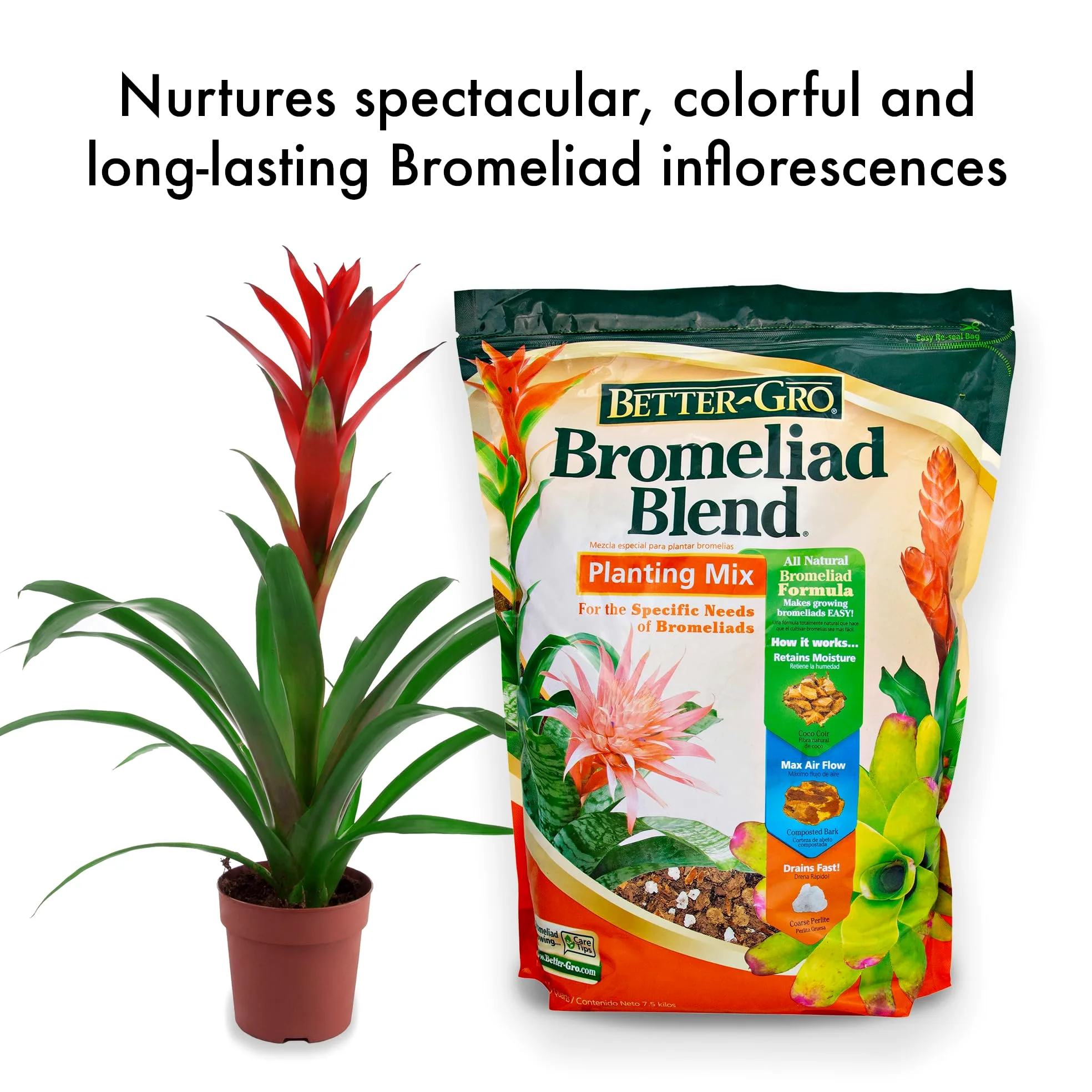 Better-Gro Mezcla de bromelia de 8 Cuartos de galón