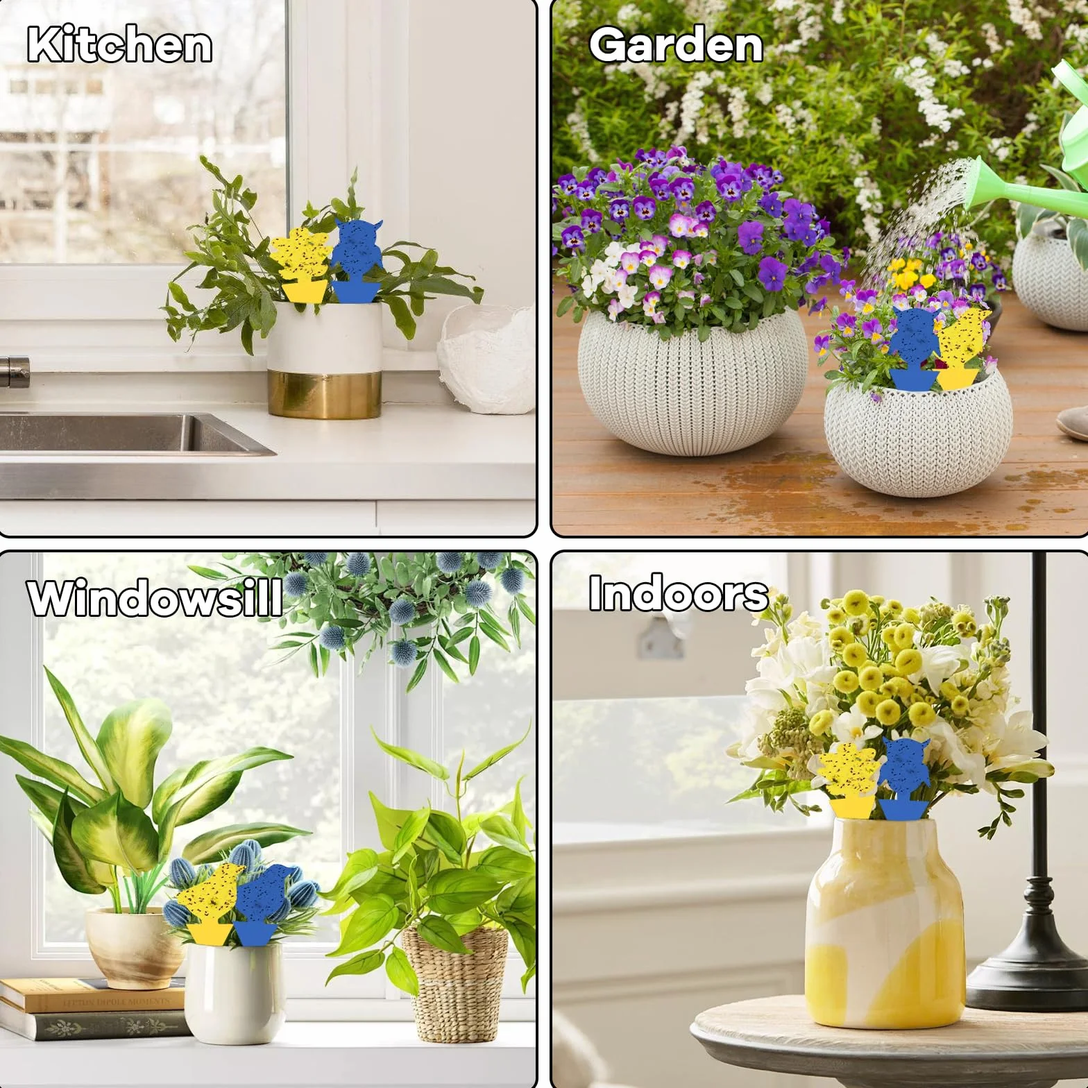Trampas Adhesivas para Plantas 26 Unidades, Atrapa Moscas de Doble Cara para Interior y Exterior, Potente Control de Plagas No Tóxico para Mosquitos, Moscas de la Fruta y Pulgones