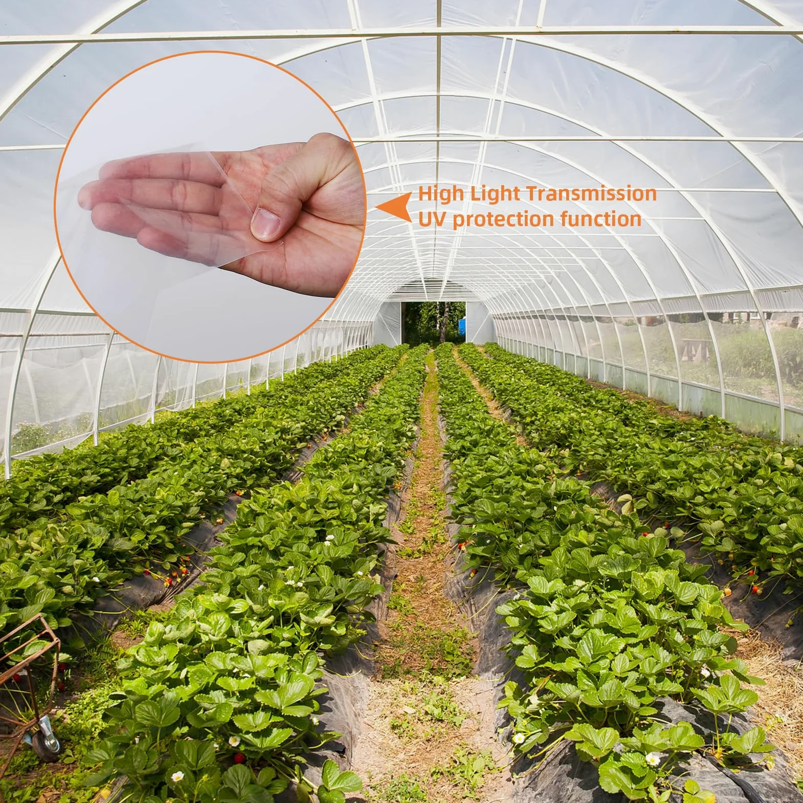 Lámina de plástico para Invernadero de 25 x 40 pies, película de Polietileno Transparente de 6 mm de Grosor, Resistente a los Rayos UV, Cubierta de plástico para Agricultura y jardinería