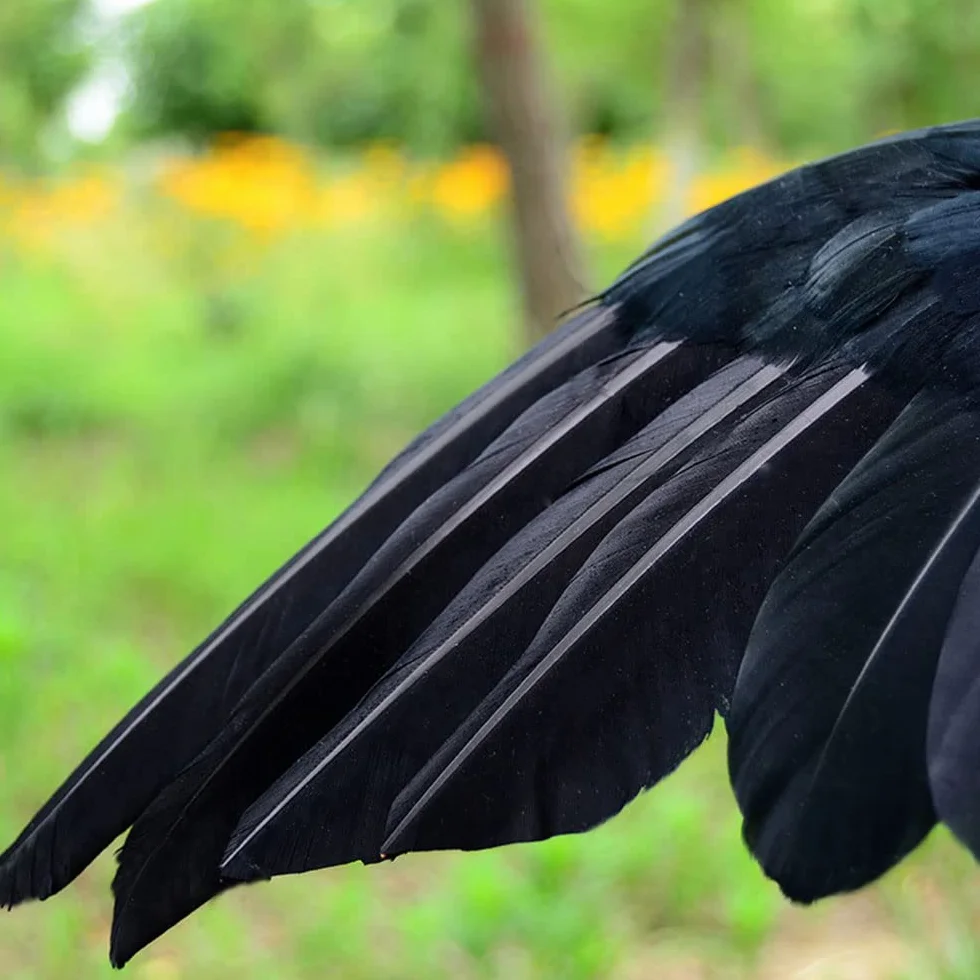 Halloween Negro Gran Cuervo Realista Hecho a Mano Emplumado Al Aire Libre Hogar Jardín Decoraciones Pájaros Fiesta Prop (15 cm)