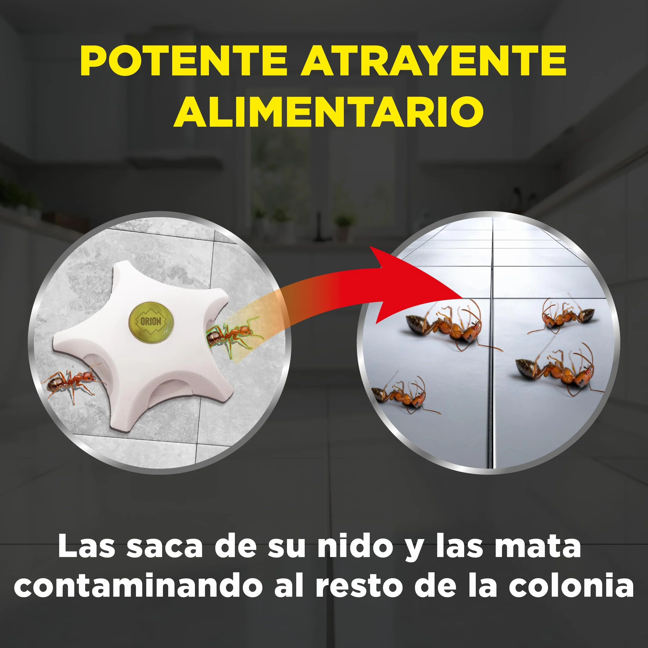 Orion - Cebo Mata Hormigas, Elimina la Colonia y la Reina, Gel de Alta Atracción, Acción Prolongada, Eficacia Profesional para el Hogar - 2 uds