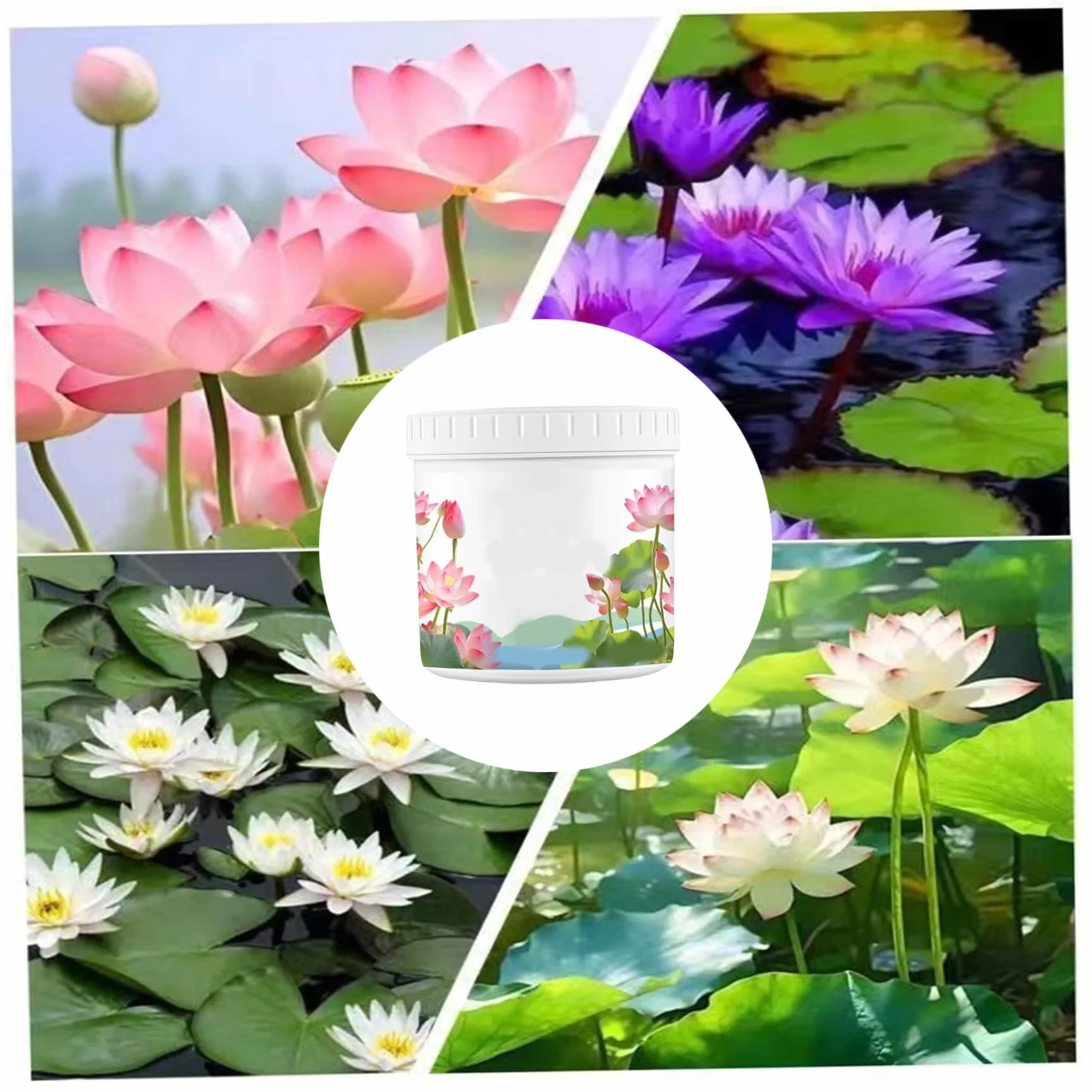 Fertilizante para Plantas acuáticas Lotus Nutrients 200 g alimento para Plantas de Acuario nutrientes para lotos de Crecimiento Efectivo nutrientes acuáticos para lotos de Acuario nenúfares y