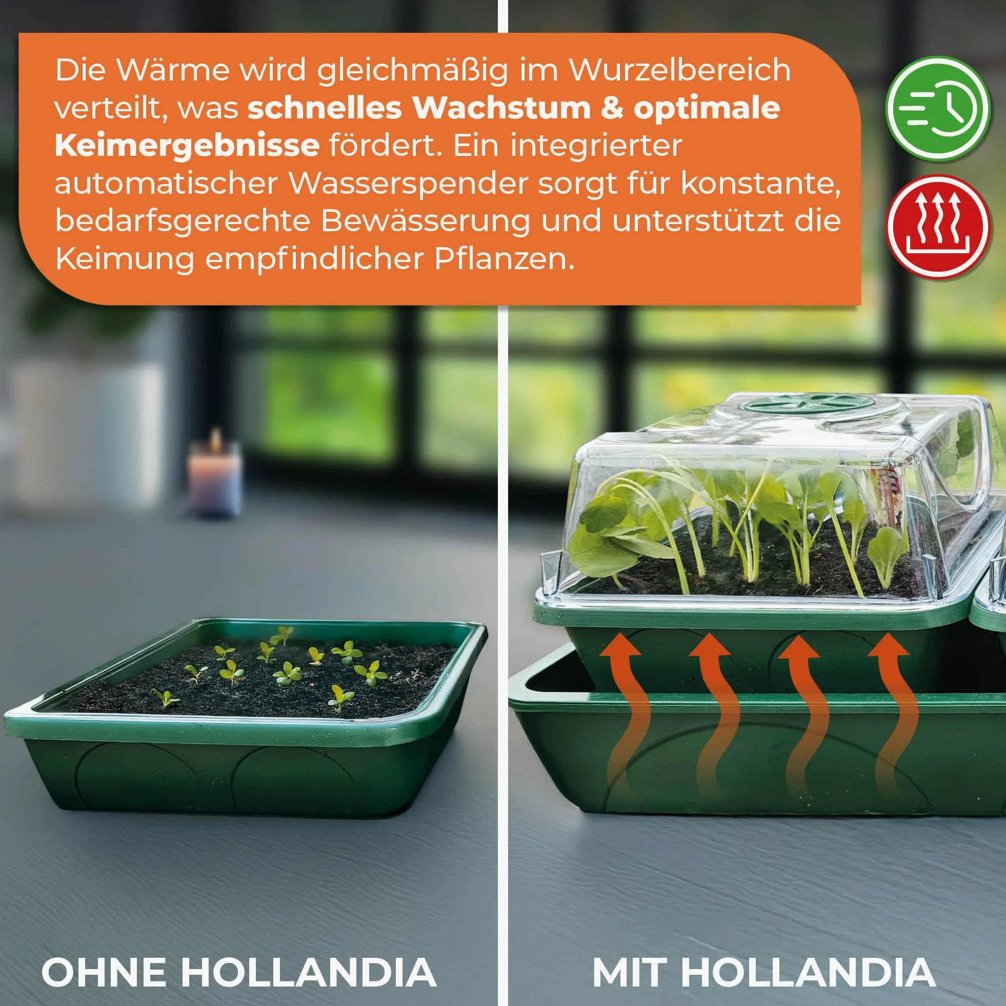 Bio Green Productos de Cultivo estación de Cultivo Hollandia, Multicolor