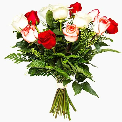 Ramos de 12 rosas naturales a domicilio variado Túnez - Flores frescas - Envío a domicilio 24h GRATIS - Tarjeta dedicatoria incluida - Caja especial para ramos de flores naturales...