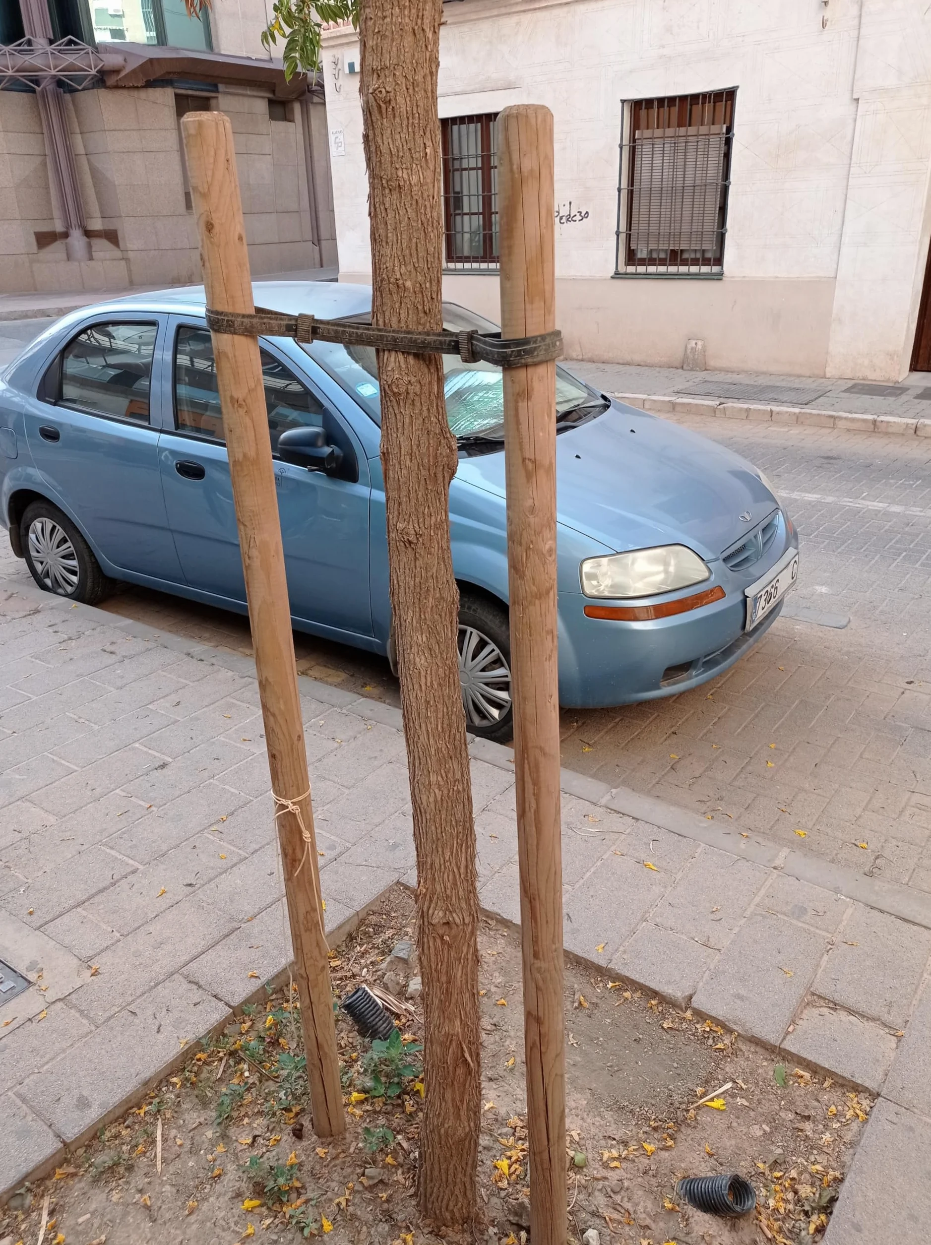 Suinga Estaca para Arboles 180 cm Ø 5 cm | Tutores con Punta | Poste para Vallas, Jardin y Plantas | Poste de Madera | Soporte para arboles