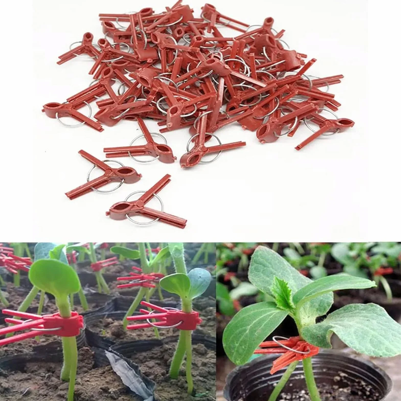 Clips de injerto de plantas, clips de injerto de vegetales | Paquete de 50 abrazaderas de fijación de plantas,Soporte de escalada en la connectas para una enredadera de vegetales, conector de jardiner