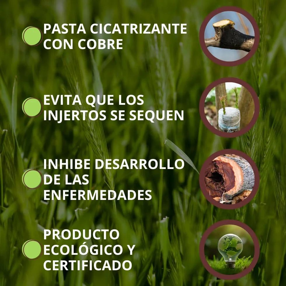 VITHAL Pasta Cicatrizante Sellaplus 290g - Protege y Cicatriza Árboles Frutales y Arbustos Tras Poda e Injertos, Protección Contra Heridas y Daños Climáticos