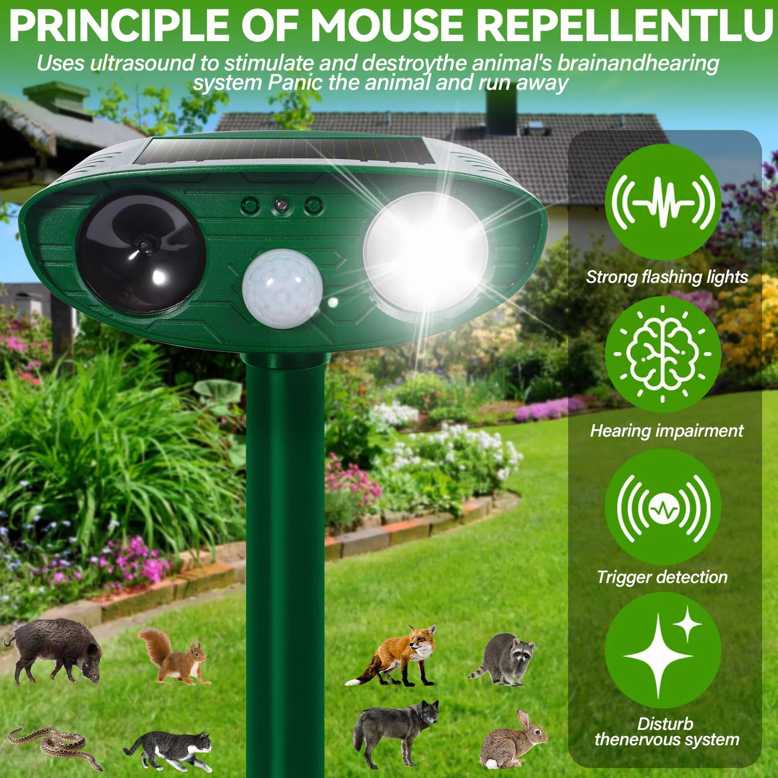 Ahuyentador de Gatos Exterior, Ultrasónico Repelente de Zorros Solar con Luz LED, 8m 120° IPX4 Impermeable Aullentador de Animales para Gatos Zorros Martas Mapaches Perros