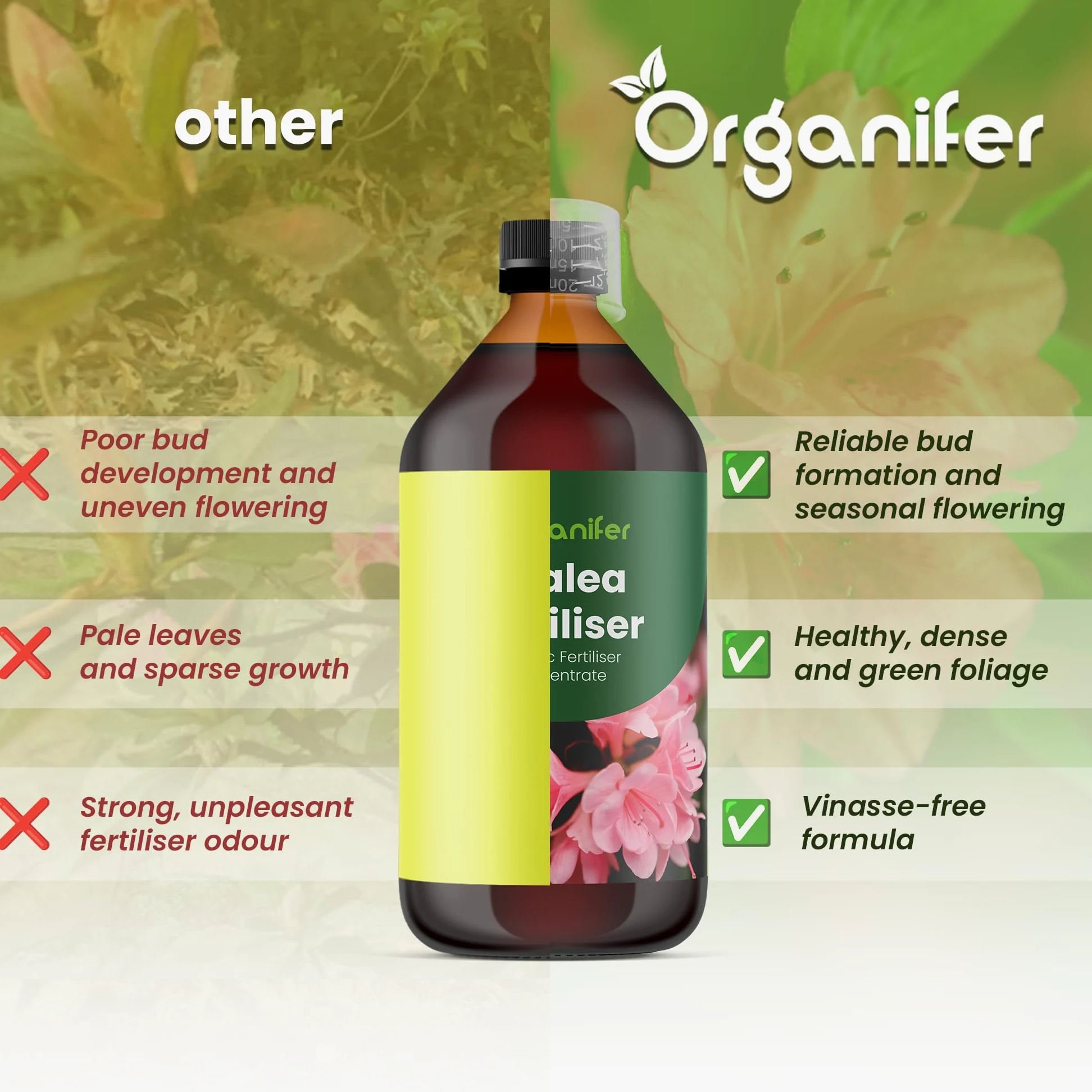 Fertilizante Líquido Para Azalea - 10L - NPK 3-4-3 | Fertilizante Para Floración Abundante Y Hojas Sanas - Favorece Vitalidad Y Raíces Fuertes - Organifer