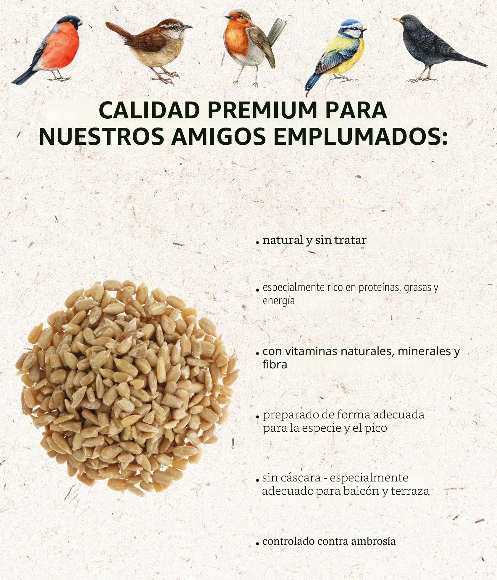 Dehner Natura Premium - Comida para Aves Silvestres sin cáscara, para Todo el año, Rica en proteínas, Alta energía, alimento para Aves Silvestres, 1 kg