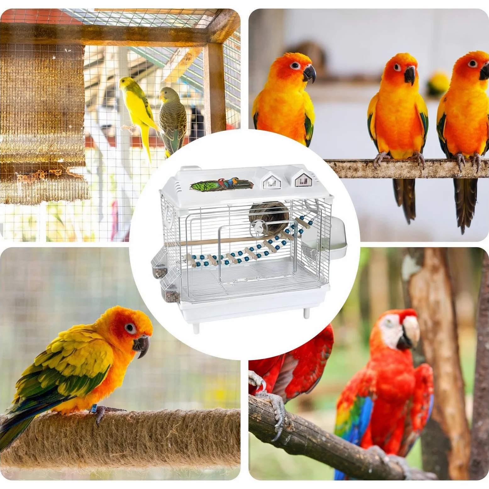 Jaula para Aves y Pájaros Transportín Portátil Transparente Para Ninfas | Jaula para Canarios con de Madera Para Canarios, Agapornis, Guacamayos, Conuros, Cacatúas Y Para En Interiores