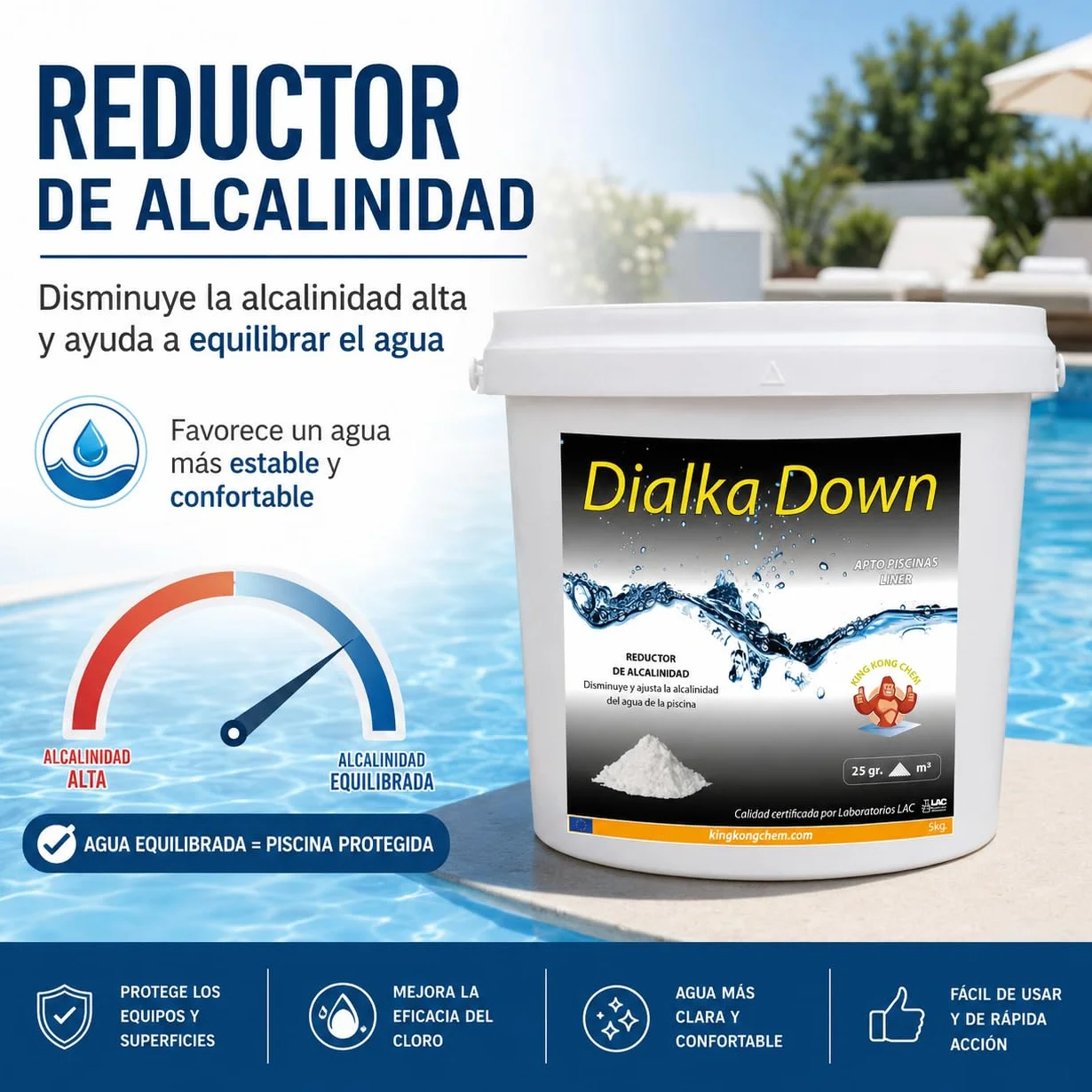 Dialka Down 5KG Reductor de alcalinidad para la Piscina y el SPA (5 kg)