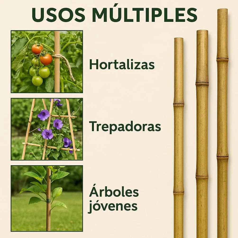 50 Tutores de Bambú 120 cm Ø 10/12 mm | Estacas de Jardín y Cañas para Huerto | Soportes Resistentes para Macetas, Flores y Cultivos | Color Natural | Eco-Friendly
