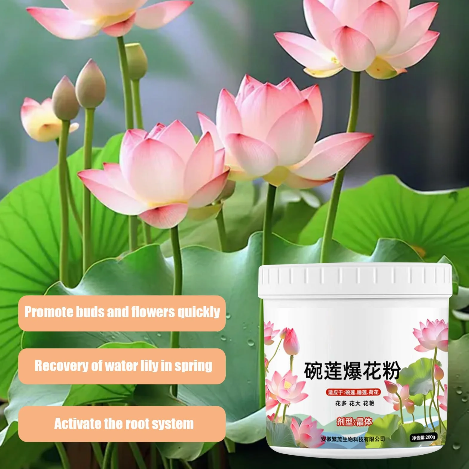 Fertilizante de plantas de agua - Polvo de crecimiento de loto | Fertilizante Sea de 200 g | Fertilizante de flores de flor de planta efectiva, en nutrientes