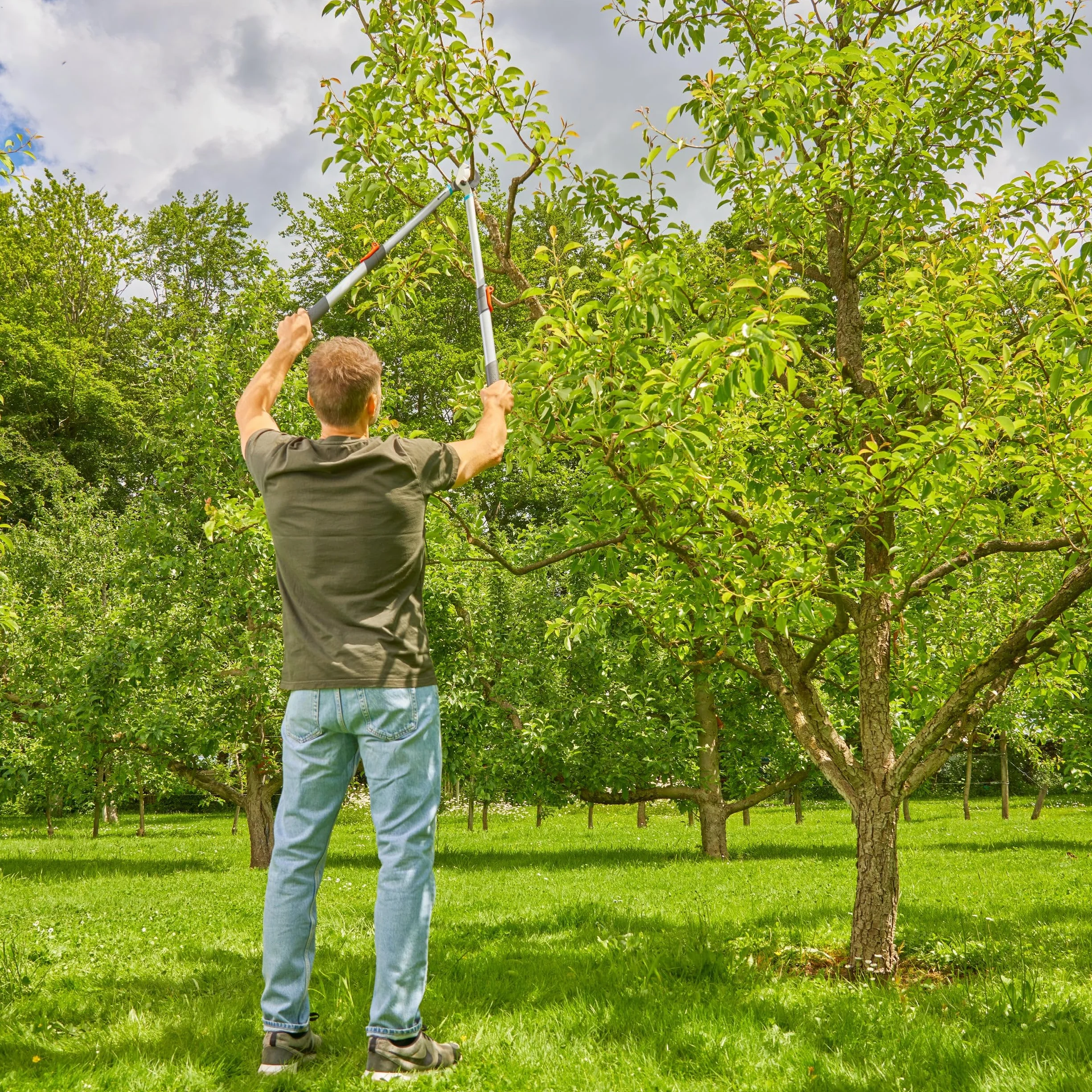 GARDENA TeleCut Basic, podadora telescópica para madera verde