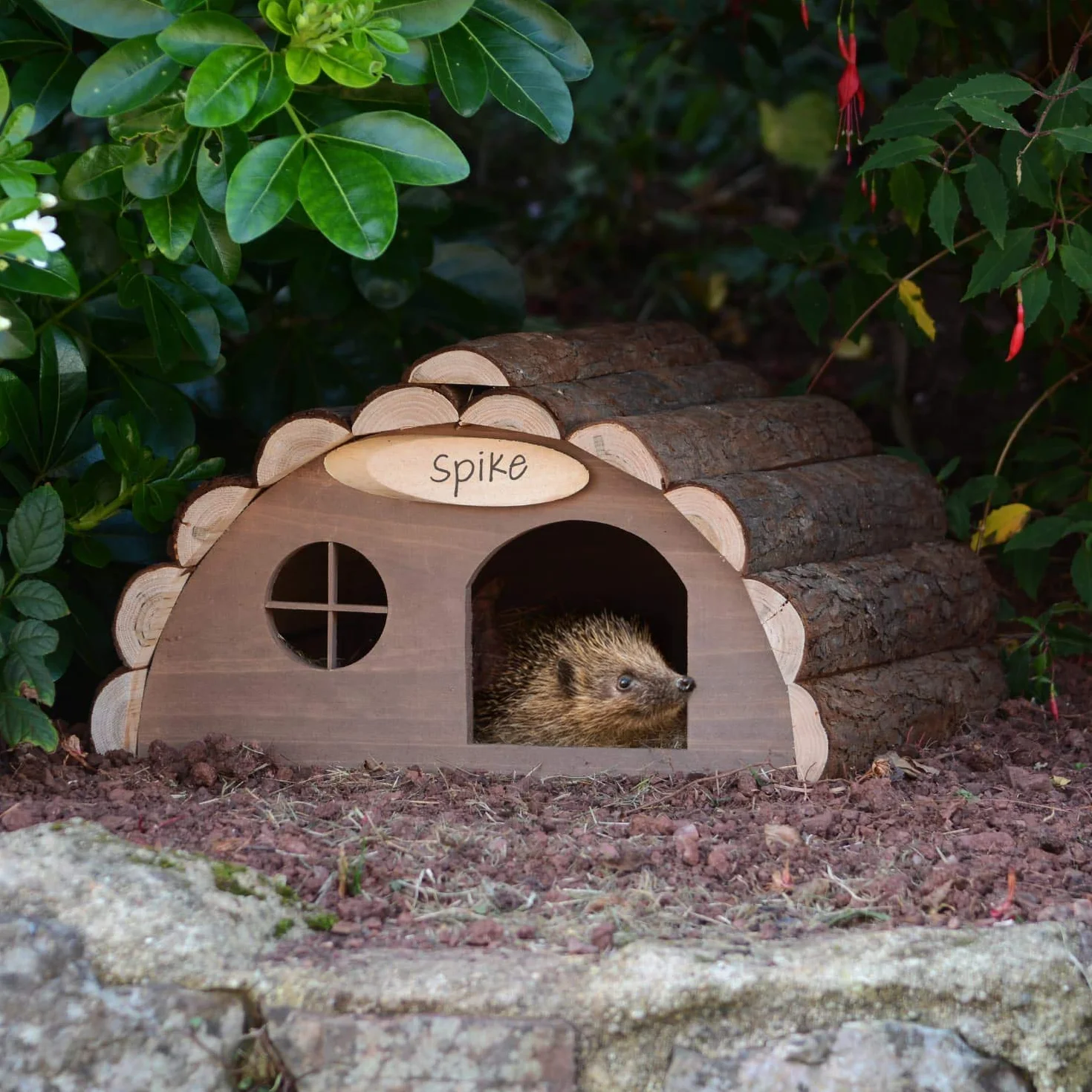 CKB LTD Casa de Erizo de Madera o Conejillo de Indias Refugio al Aire Libre Fuera de la casa de hábitat, el Hotel también se Puede Utilizar para hibernación hogar para Refugio de jardín 33,5x34x19cm