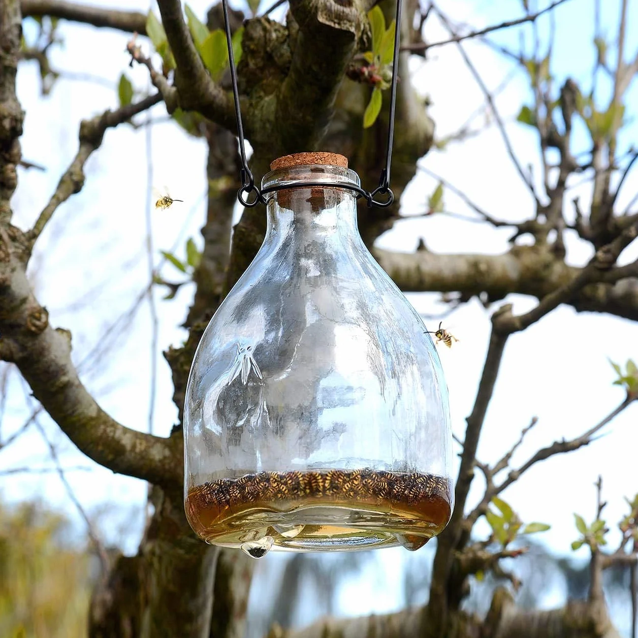 CKB LTD Botella de Cristal Tradicional para Colgar, diseño de cacerolas de Miel, Small