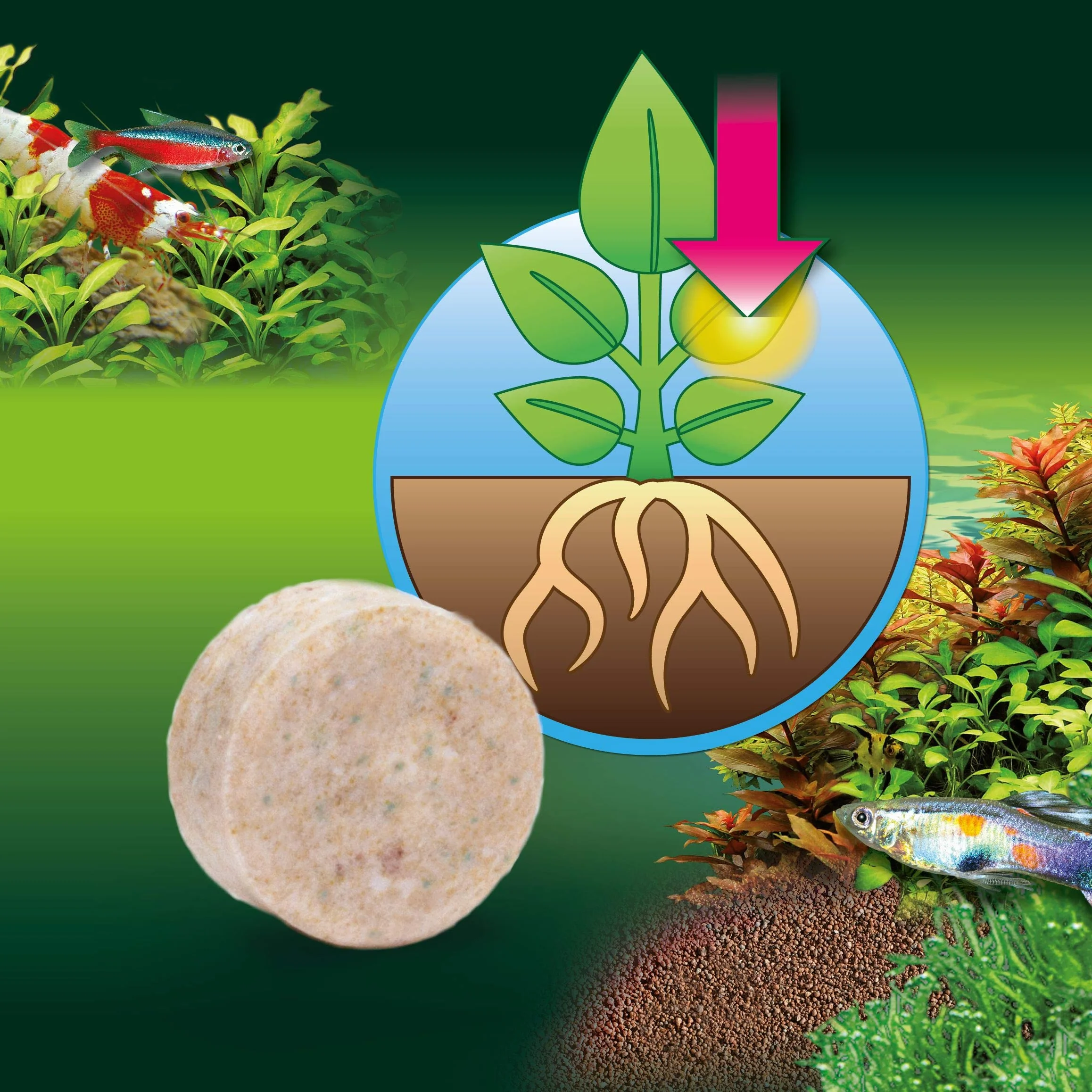 JBL Fertilizante FerropolTabs 2020000 para acuarios de Agua Dulce, 30 Pastillas