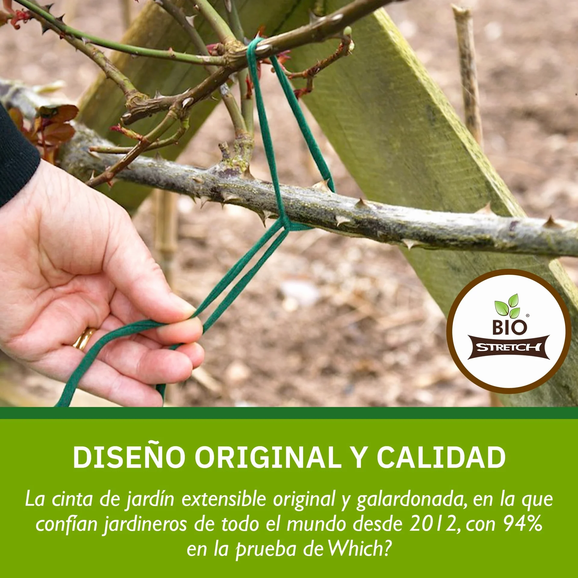Bio-Stretch Cintas de Jardín Suaves para Plantas de Interior y Exterior – Resistentes y Elásticas, Cortables a Medida, para Plantas Trepadoras, Tomates y Jardinería en Casa (20m / Verde)