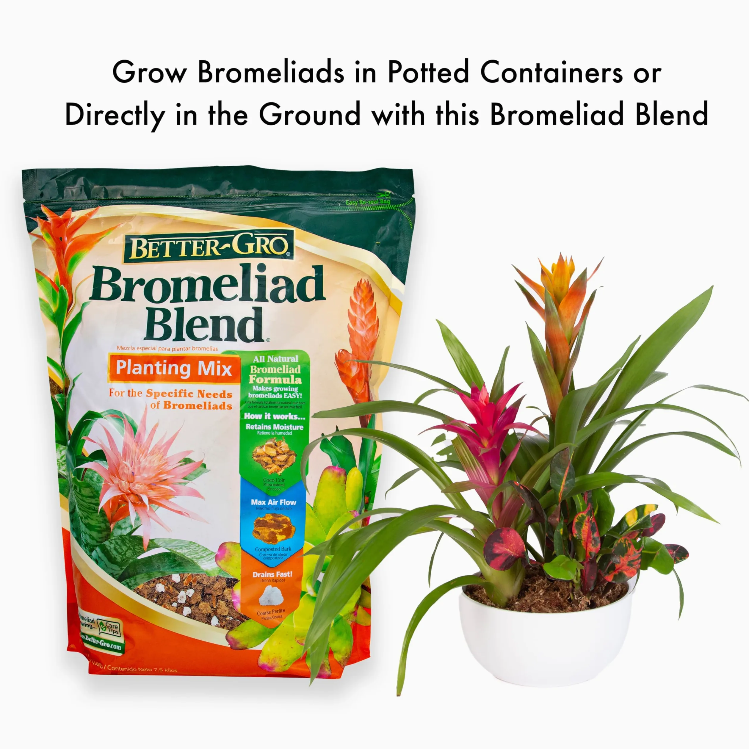 Better-Gro Mezcla de bromelia de 8 Cuartos de galón