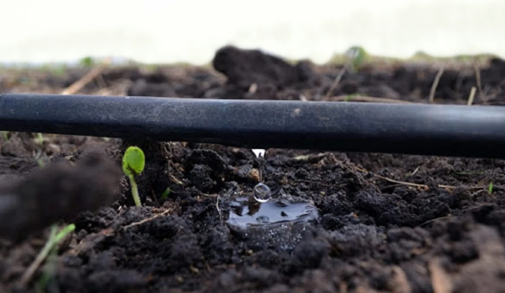 MUGAR- Manguera de riego por goteo. Tubo de goteo de polietileno de 400 metros y 16 milímetros con goteros cada 40 centímetros, para agricultura y jardines particulares.