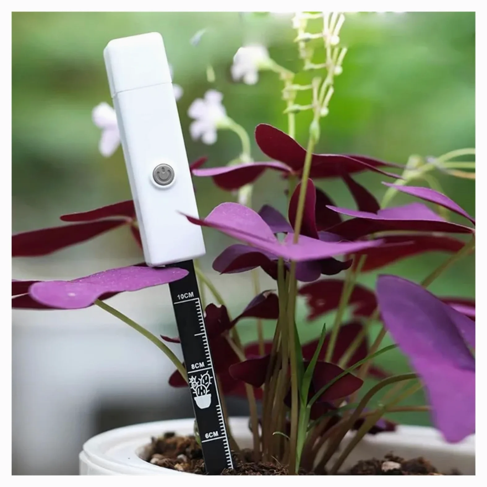 Medidor De Humedad Monitor Universal Con Sensor De Humedad Del Suelo, Detector De Temperatura Y Humedad De Plantas, Herramienta For El Cuidado Del Jardín En Casa, 10 Uds.