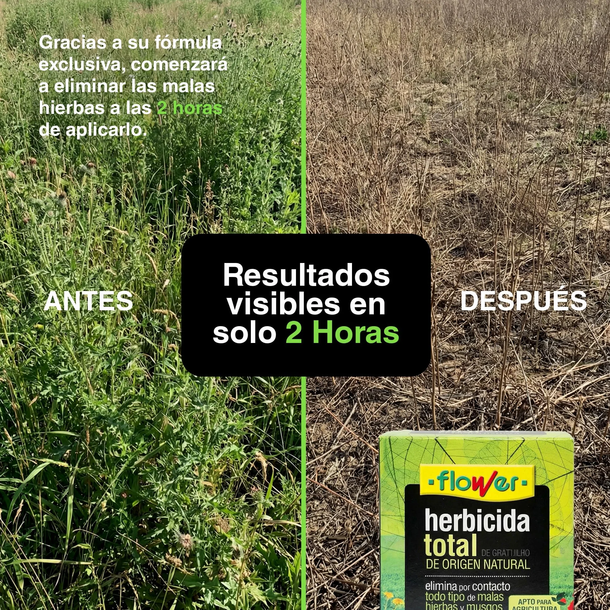 FLOWER x3 Herbicida Total Ecológico Origen Natural 450 m² | Elimina Malas Hierbas y Musgos | Alternativa Glifosato | Resultados 2 Horas | 750ml + Dosificador Diluir 15L Agua | Súper Concentrado