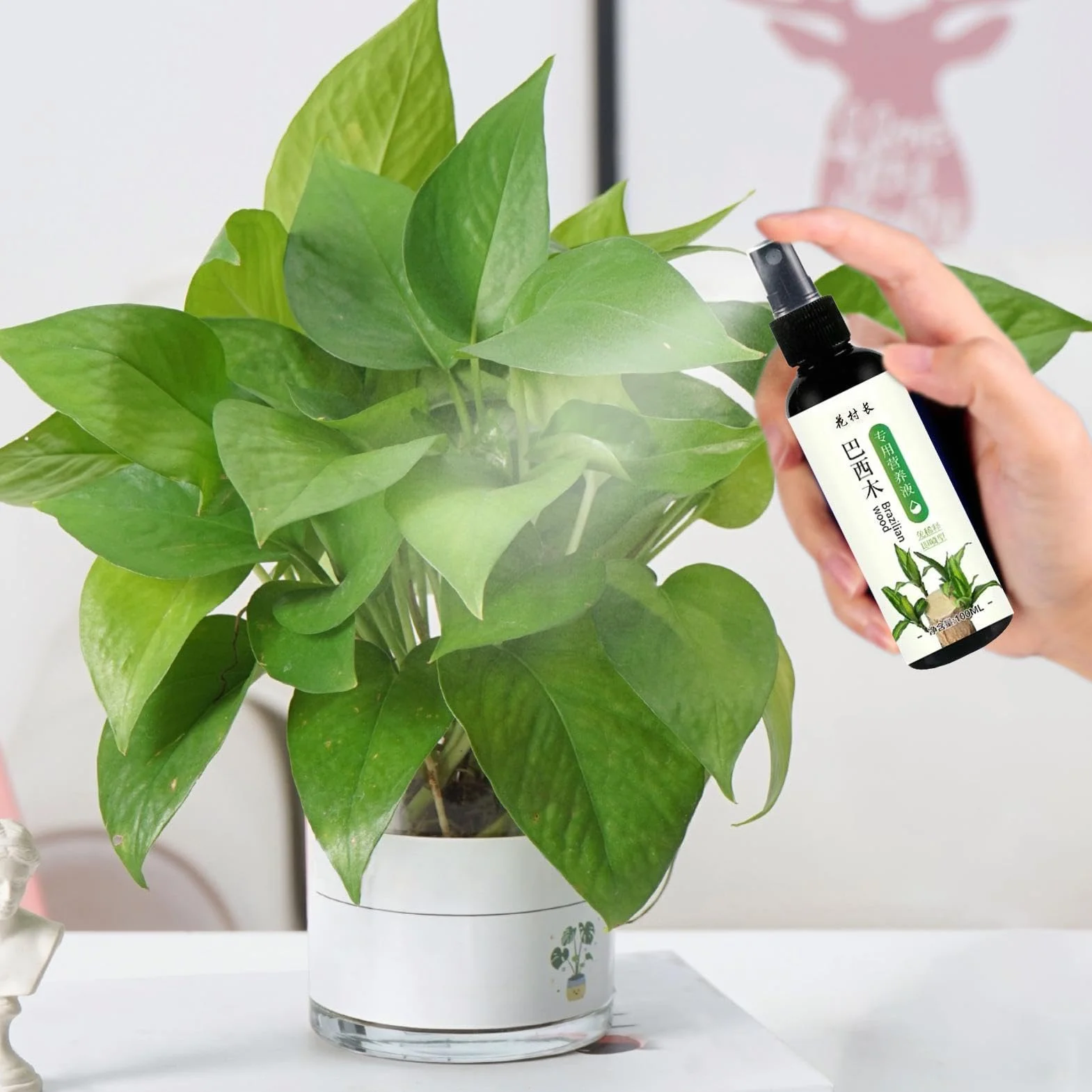Alimento para plantas de madera brasileña, fertilizante líquido de bambú de 100ml, fertilizante para plantas de interior de madera brasileña de la suerte, fertilizante líquido para plantas de interior